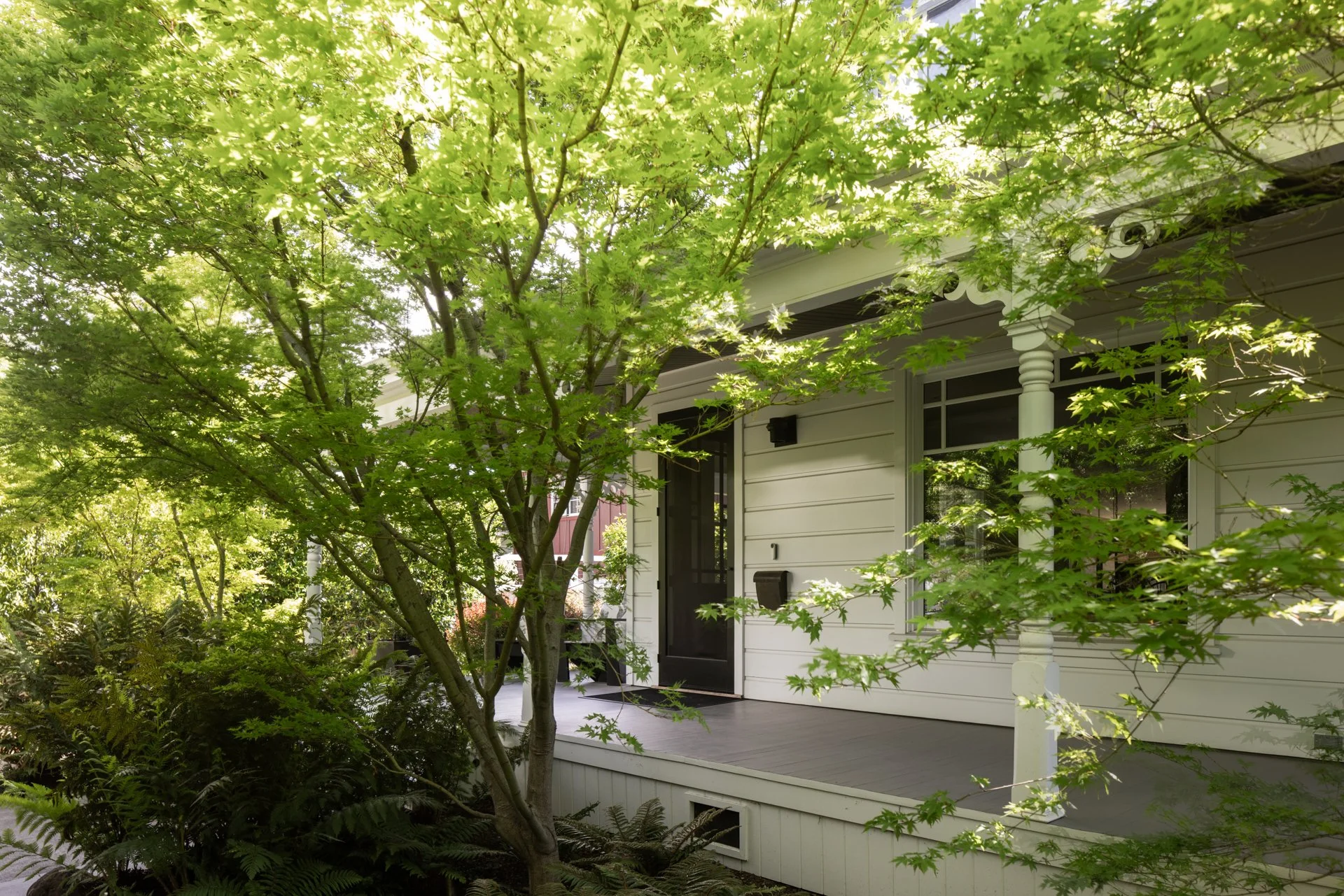 A porch with a white house partially hidden behind lush green trees and plants.