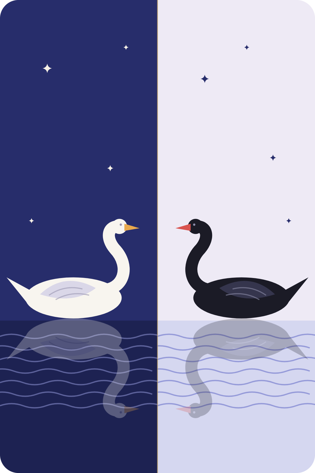 Illustration of two swans, one white on the dark blue side and one black on the light blue side, floating on water with starry night sky background.