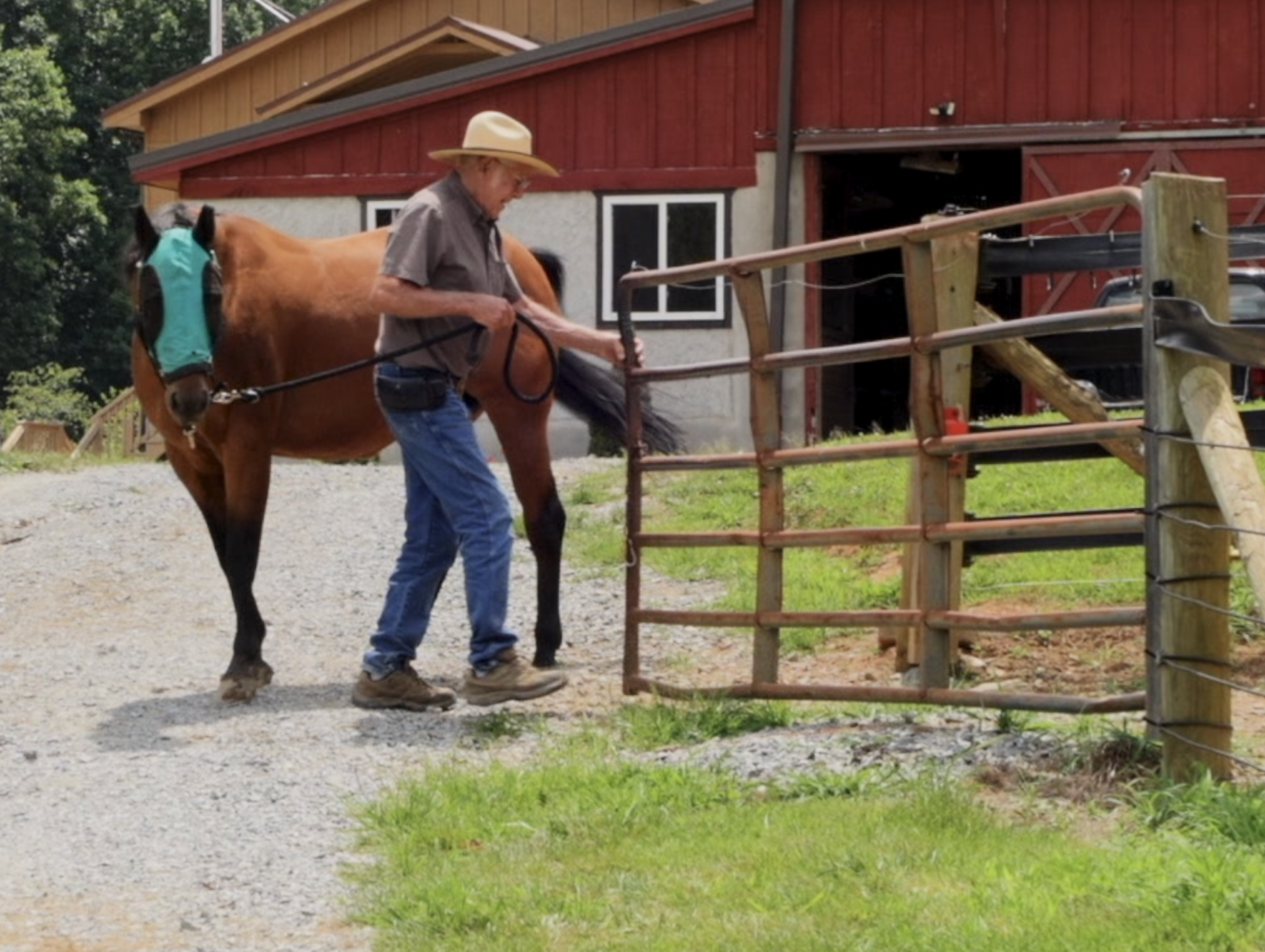 Pete Dillingham of Harmony Mountain Equine in Horse Shoe, North Carolina leading a brown horse by the reins near a red barn and wooden fence.
