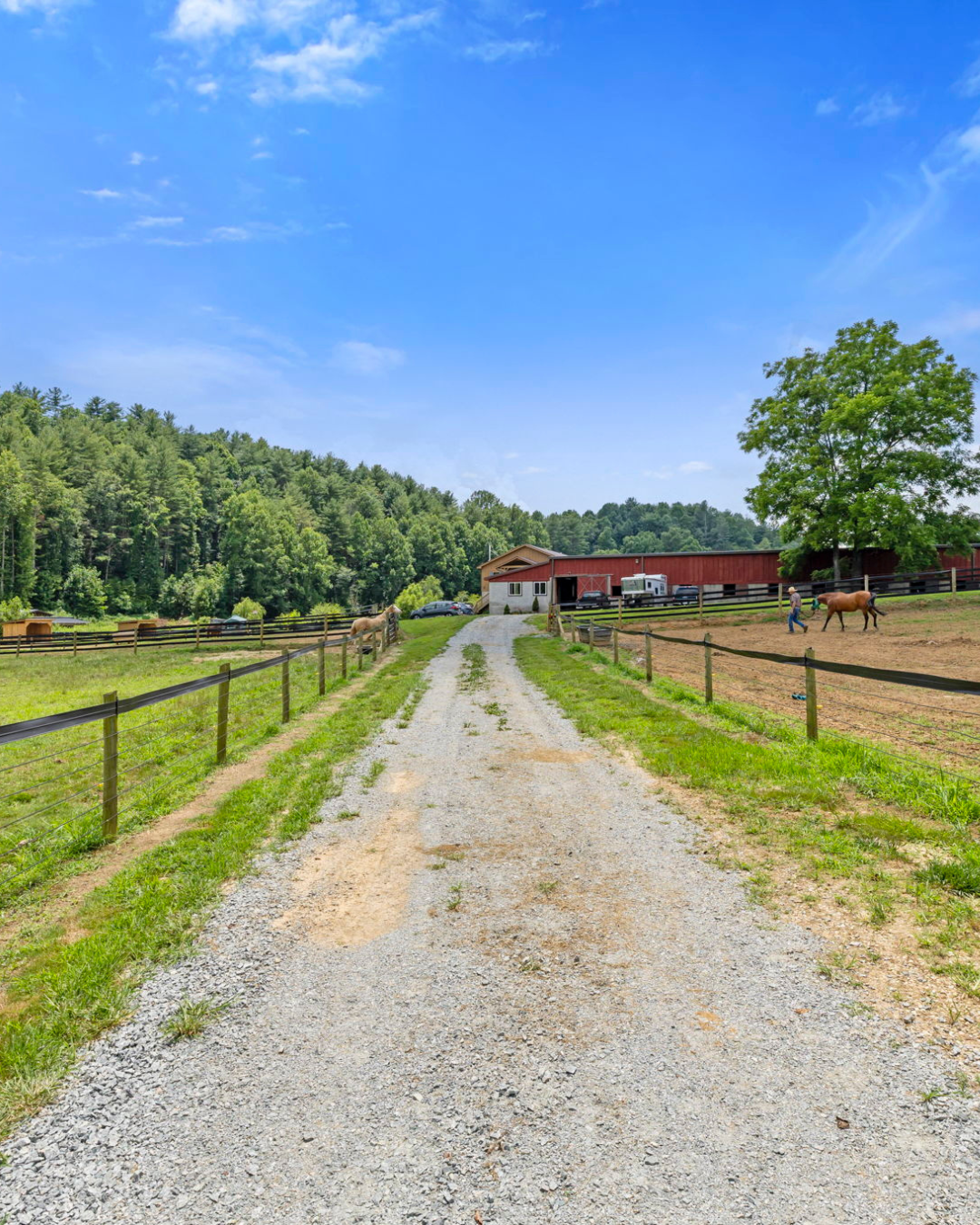 A gravel driveway leading to a red barn on a farm, with horses and a man walking nearby, surrounded by green fields and trees under a blue sky.  442 Blantyre Church Rd, Horse Shoe, NC