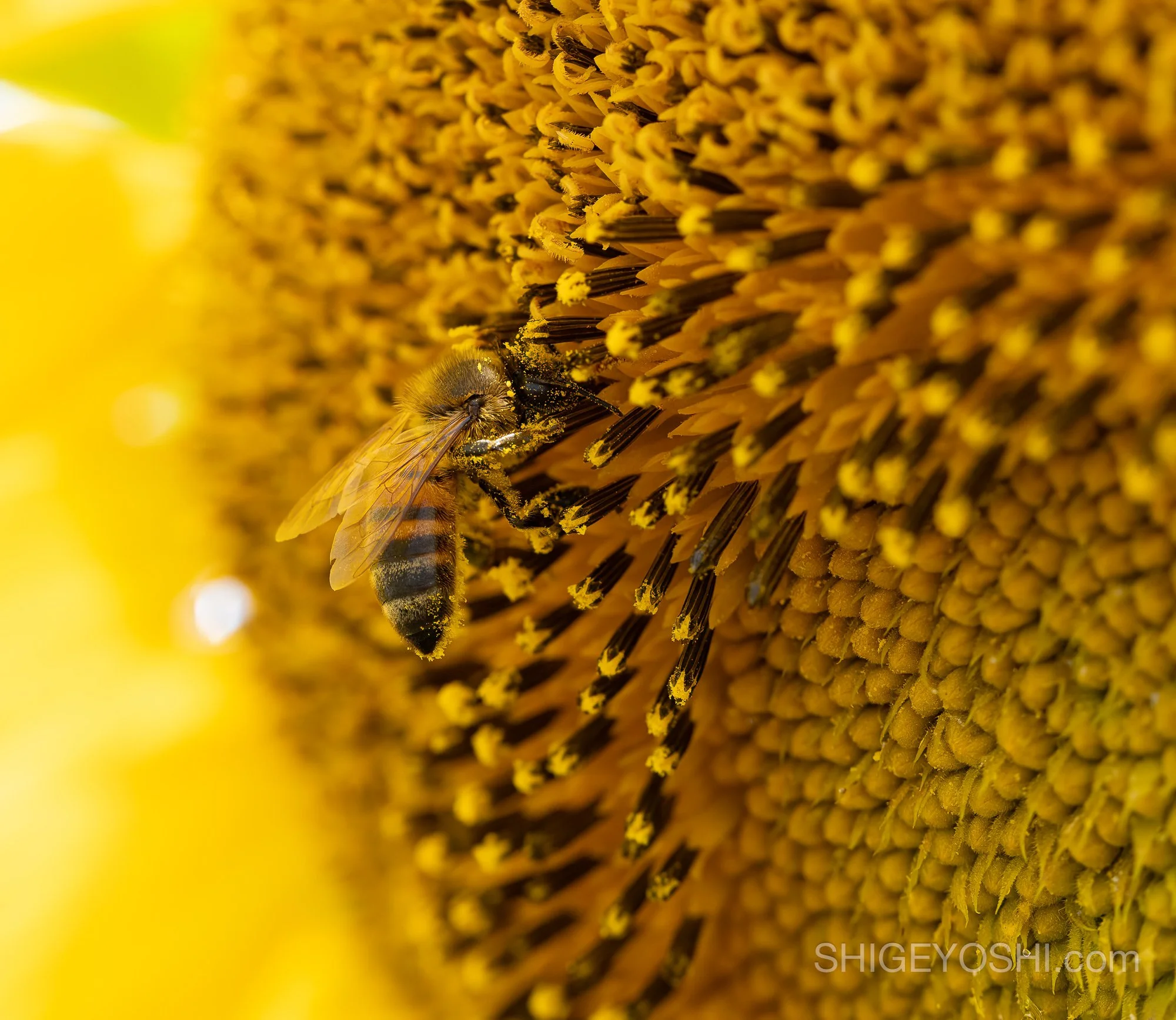_X1A6129-Edit.jpg