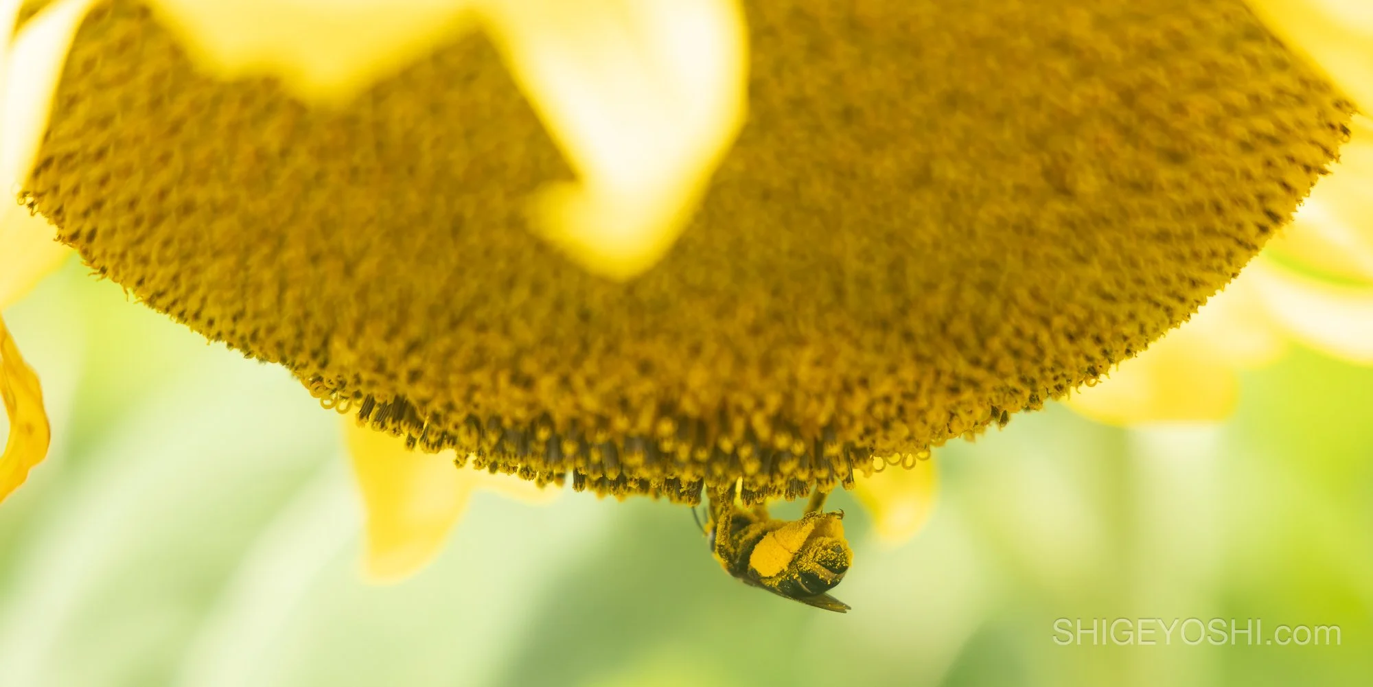 _X1A6209-Edit.jpg
