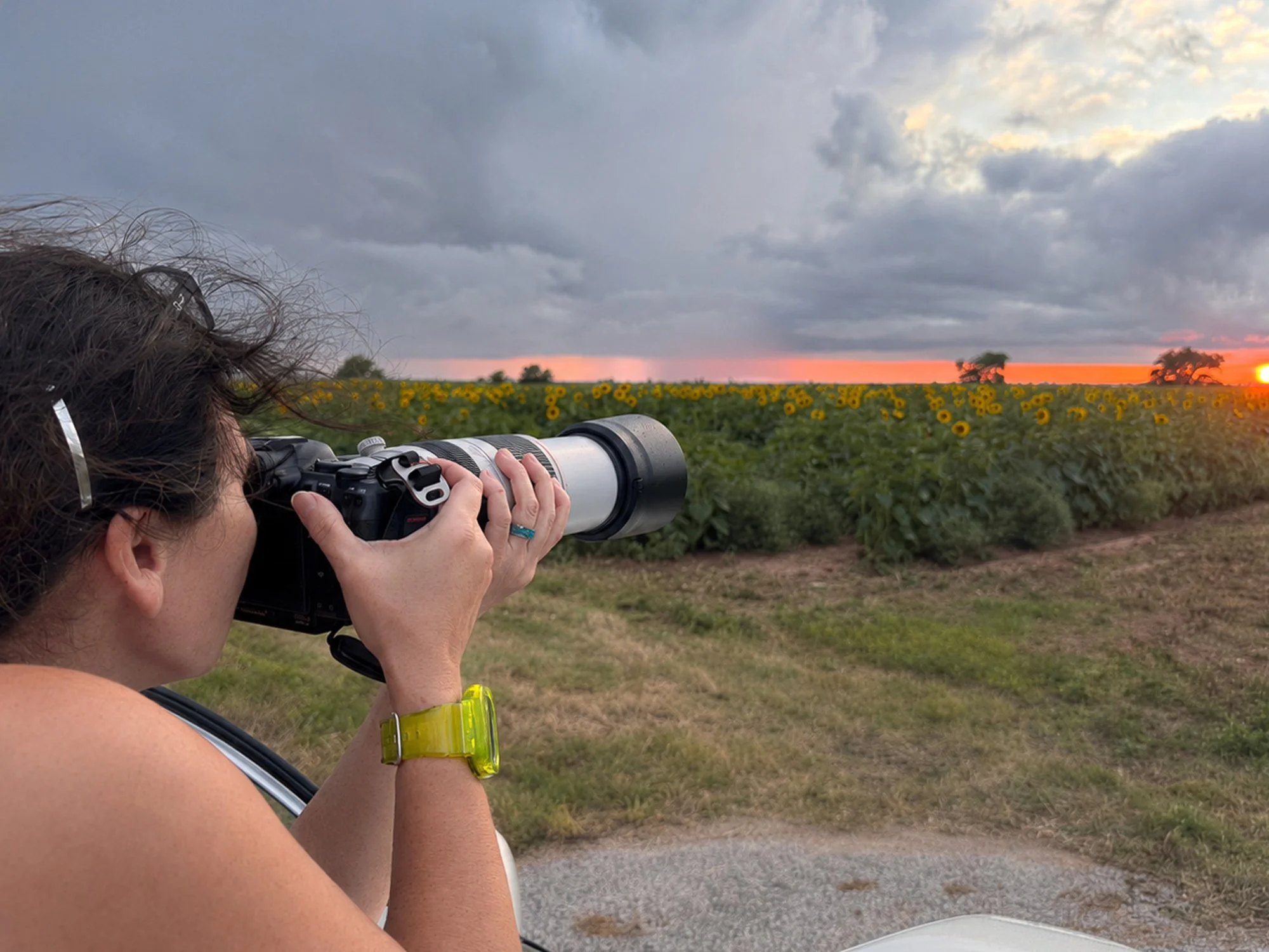 A woman photographing a fiery sunset over a sunflower field through an open car moonroof with a telephoto lens