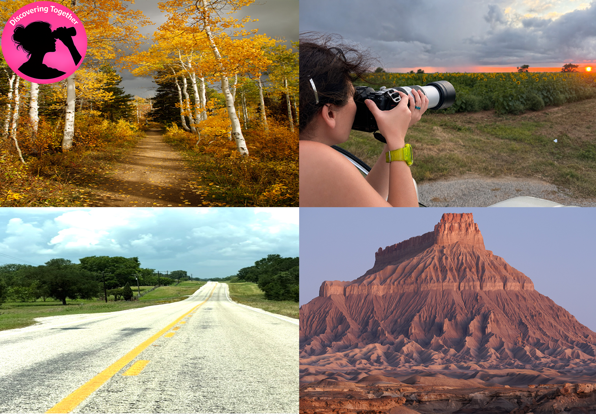 Collage of different images