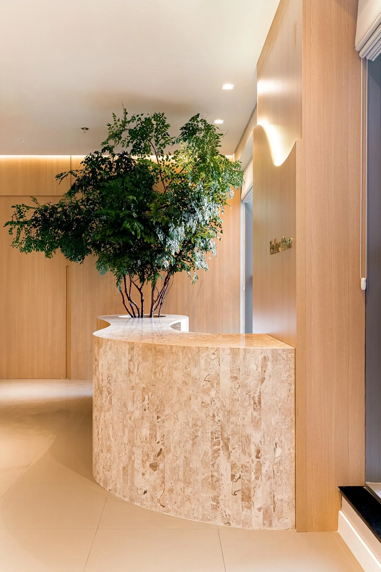 clínica médica | viessere