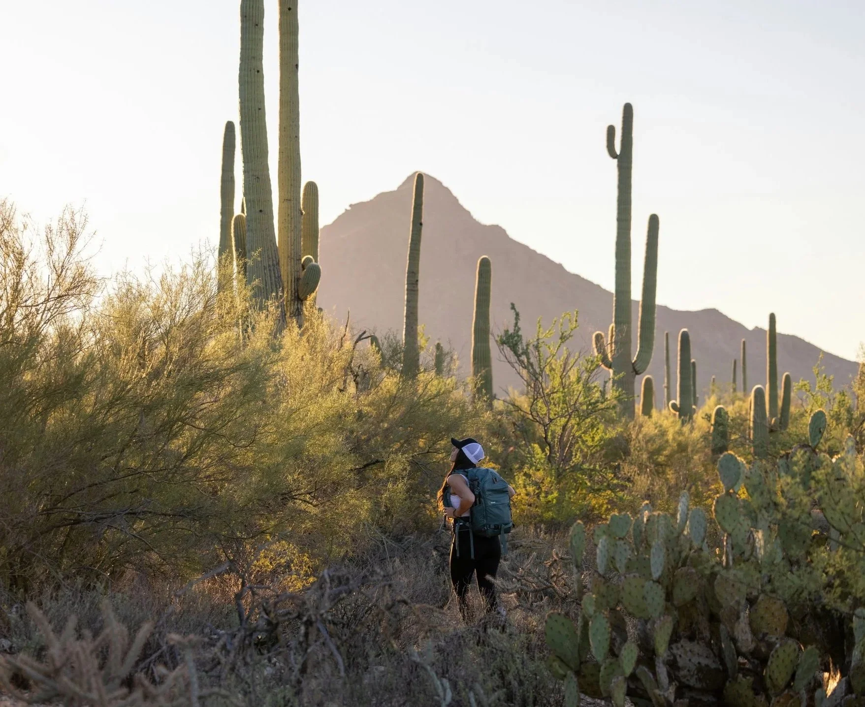 Woman hiking in the Arizona desert. Arcadia Women’s Wellness Weight Management and GLP1 Support - Phoenix Arizona