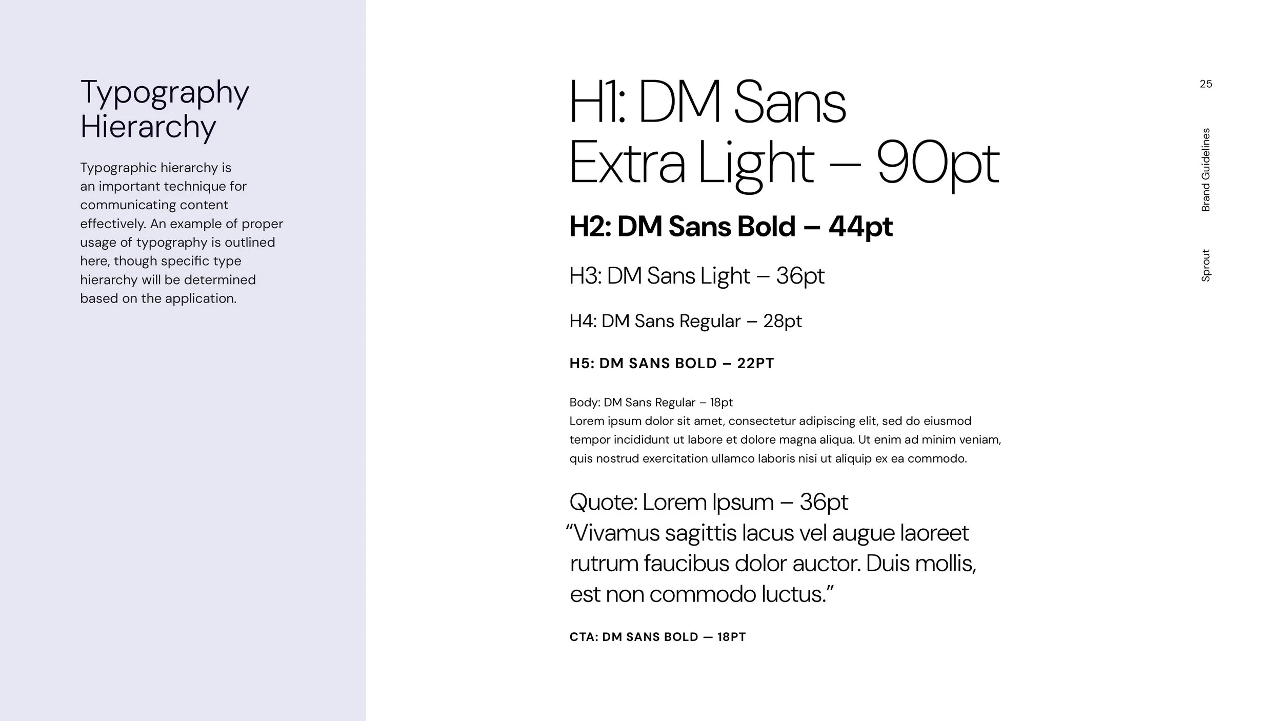 SPR25-001-Brand-Guide25.jpg