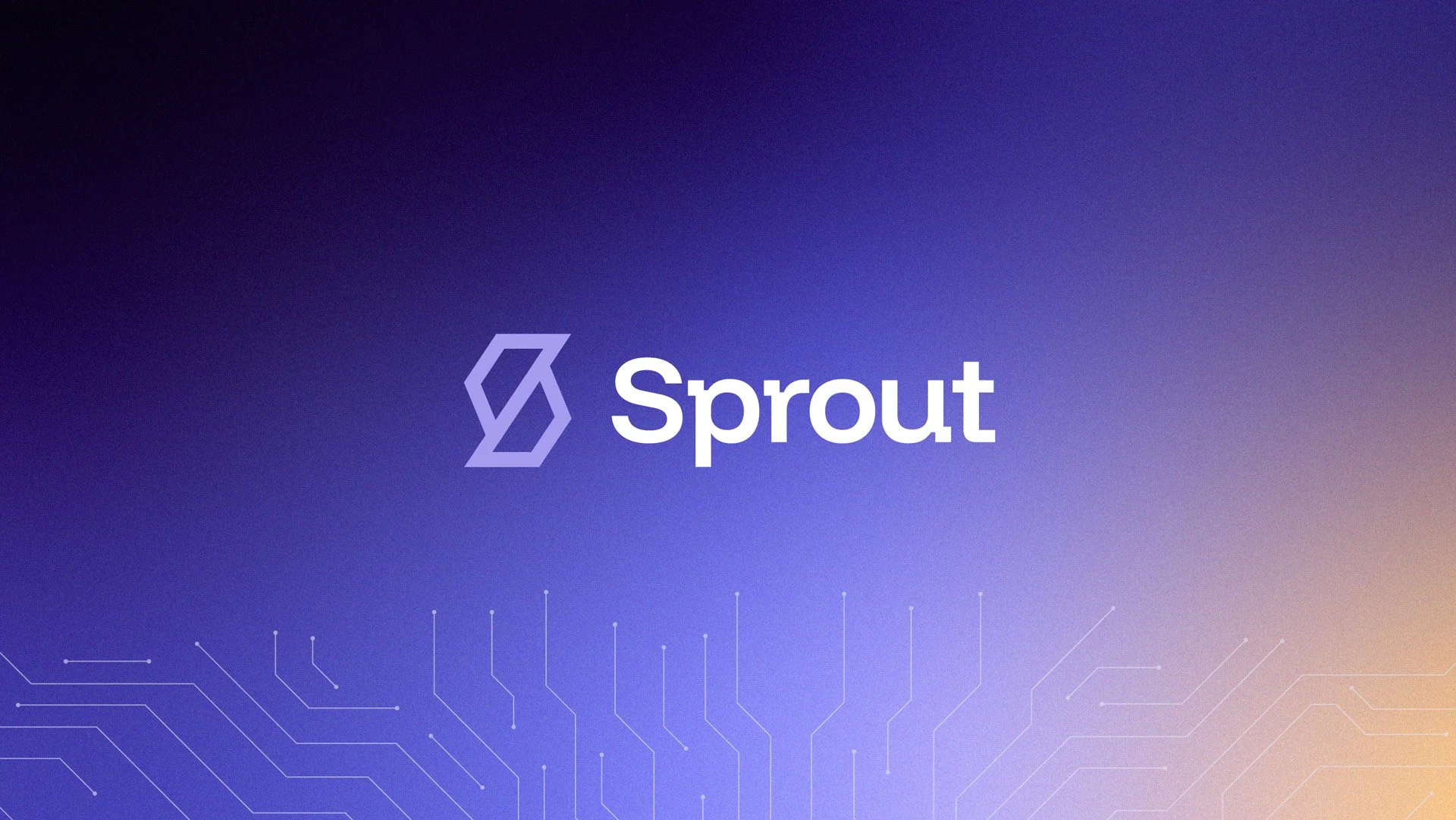 Sprout Identity & Website