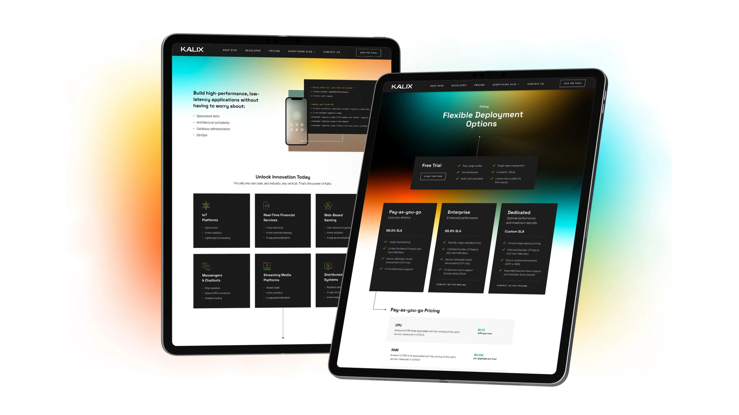 iPad rev.jpg