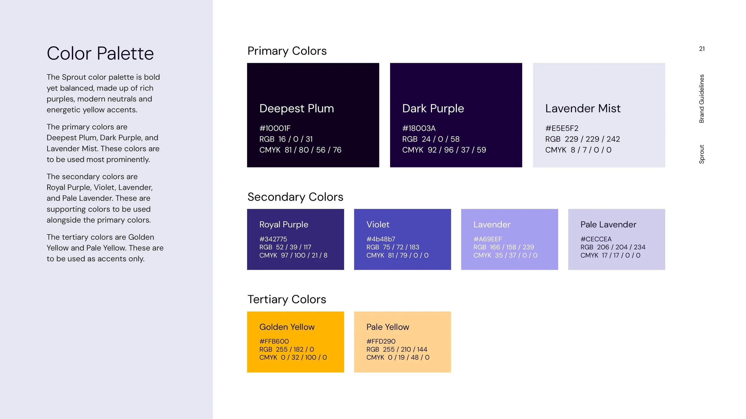 SPR25-001-Brand-Guide21.jpg