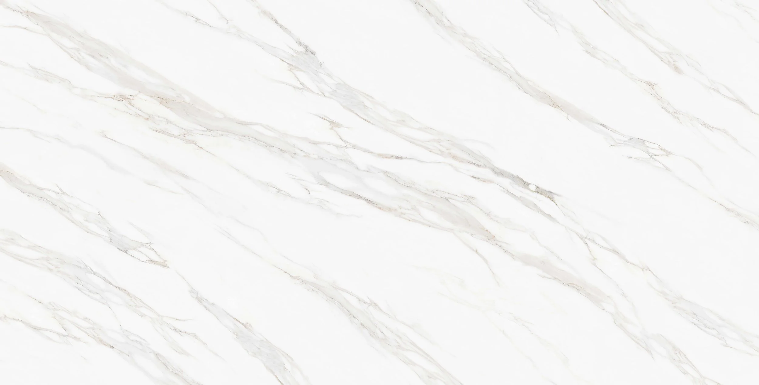 ST001T  CALACATTA CHAMPAGNE - FULL BODY .jpg