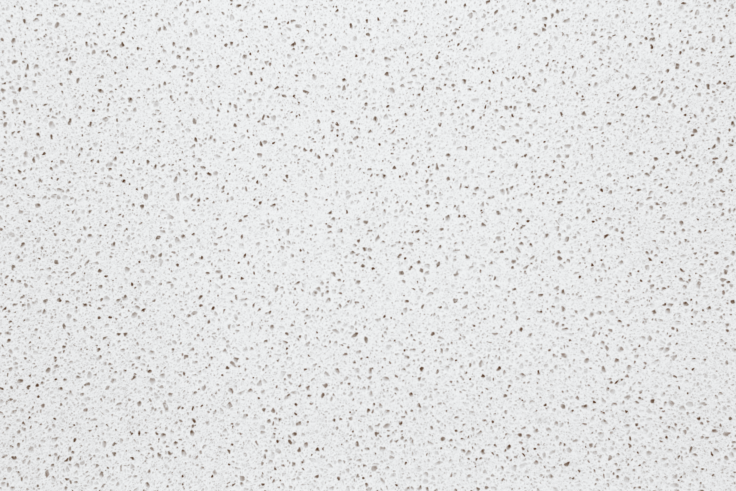 POLAR WHITE ZOOM 2.png