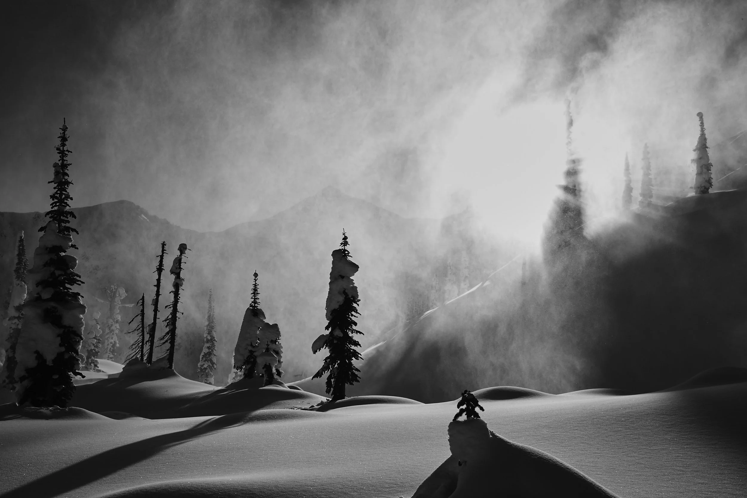 Black and white photo of snow-covered trees and mountain landscape, with sunlight breaking through clouds and casting shadows on the snow.