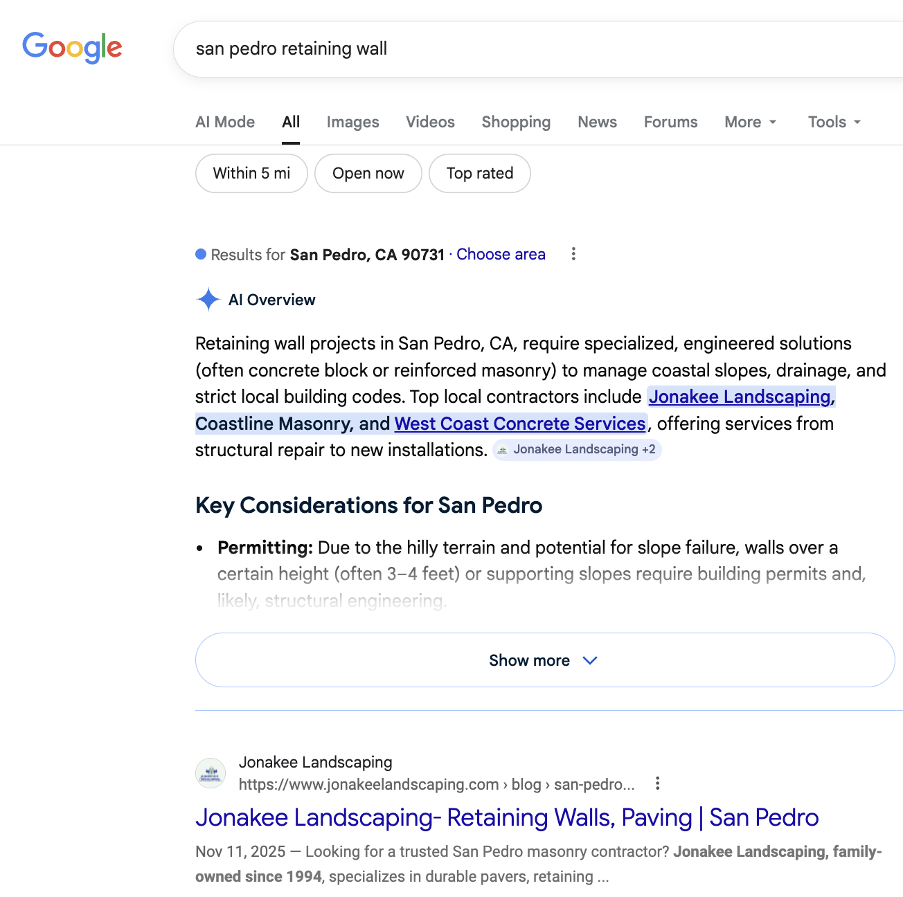 how to show up on google and ai in san pedro