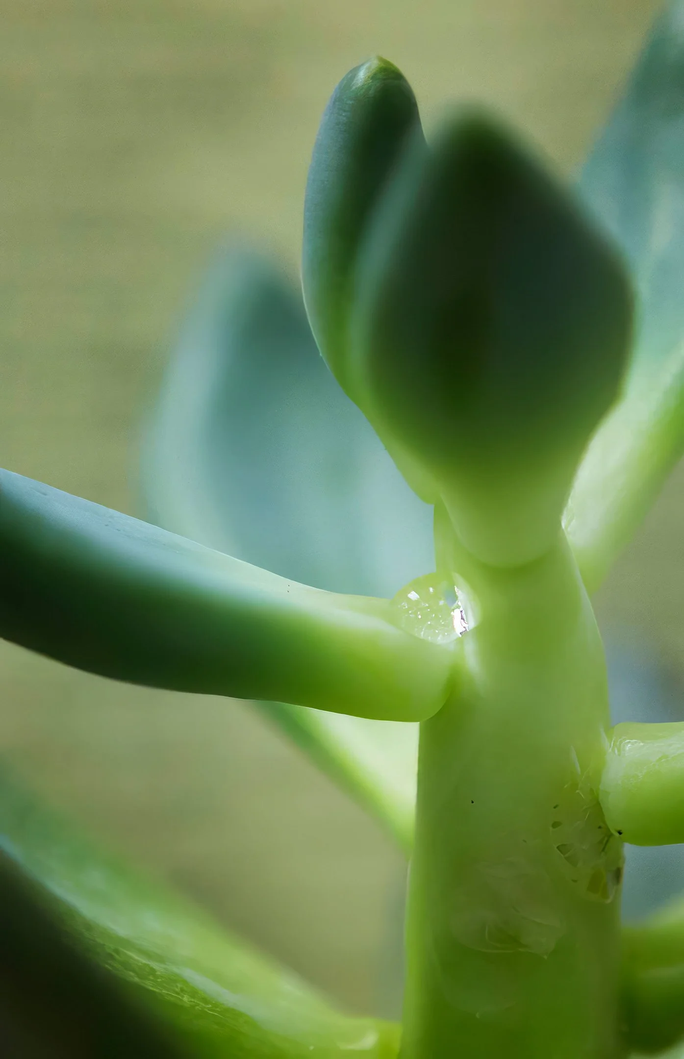 Project_20130320_0044.jpg