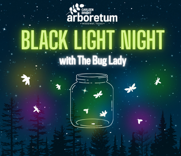 Black Light Night with The Bug Lady