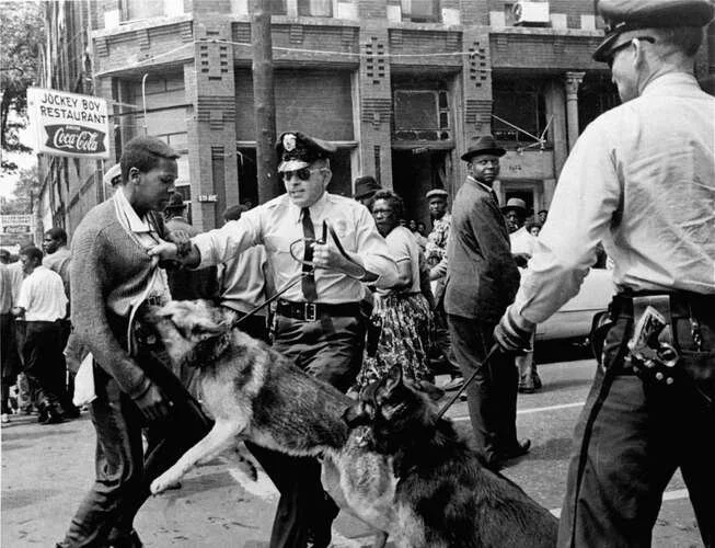 demonstrator-rights-police-dog-reaction-Alabama-Birmingham-May-3-1963.jpg