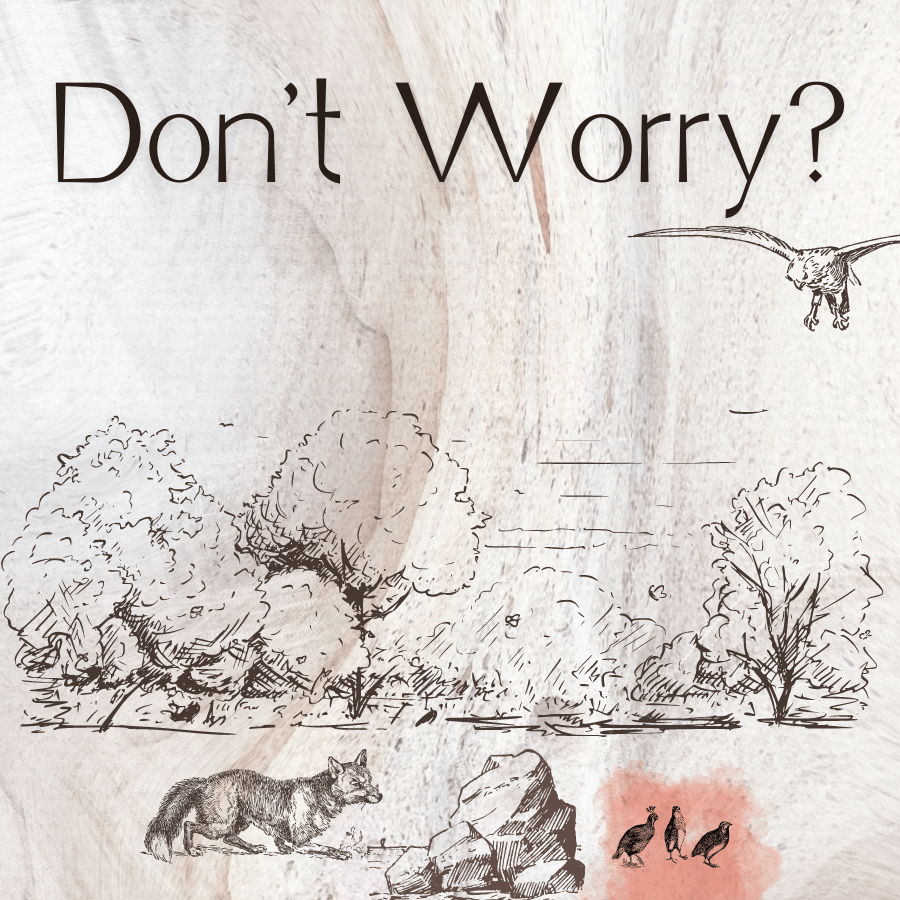 Don’t Worry?