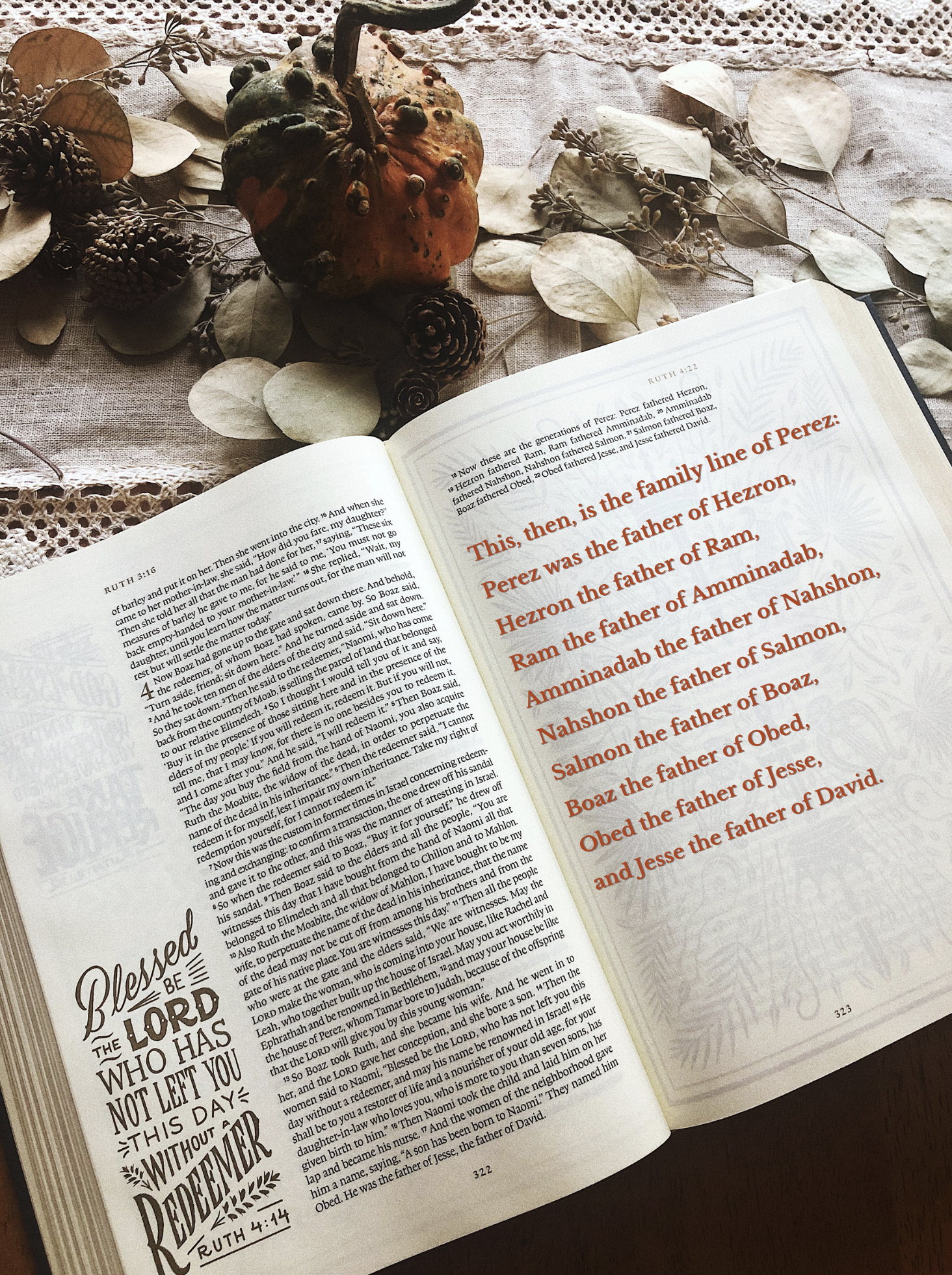 Ruth’s Genealogy, God’s Grand Story