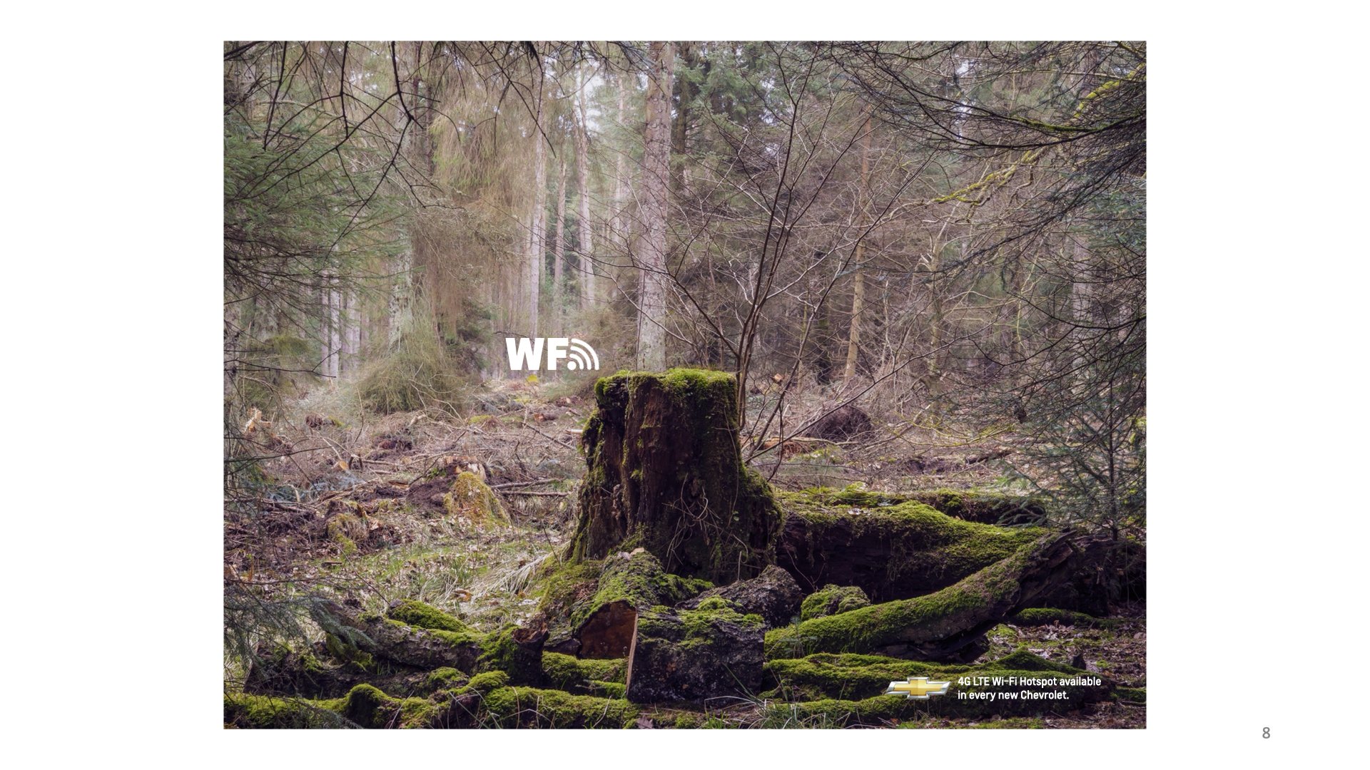 Chevy WFH print_DM.008.jpeg