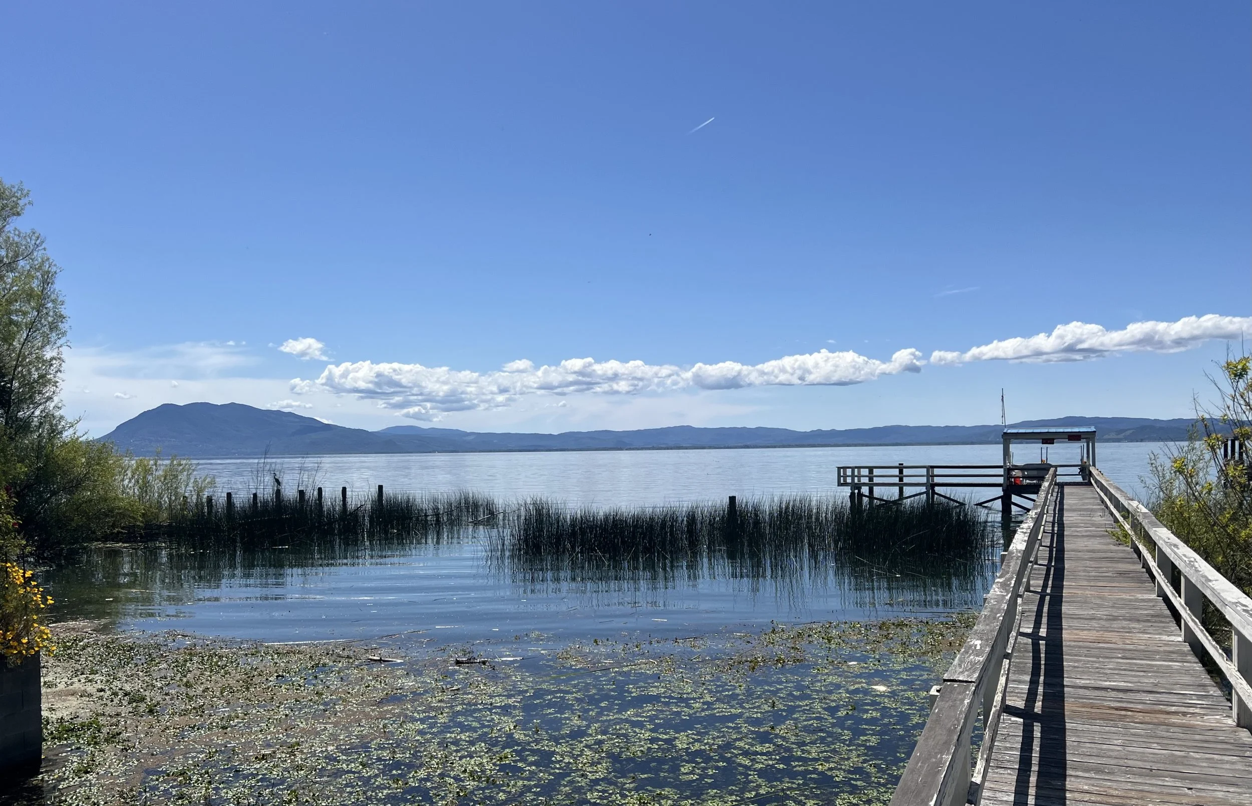 A wooden dock extends over a calm lake with floating lily pads, leading to a small gazebo. In the background, there are mountains under a blue sky with scattered clouds, and some trees on the left and right sides of the scene.