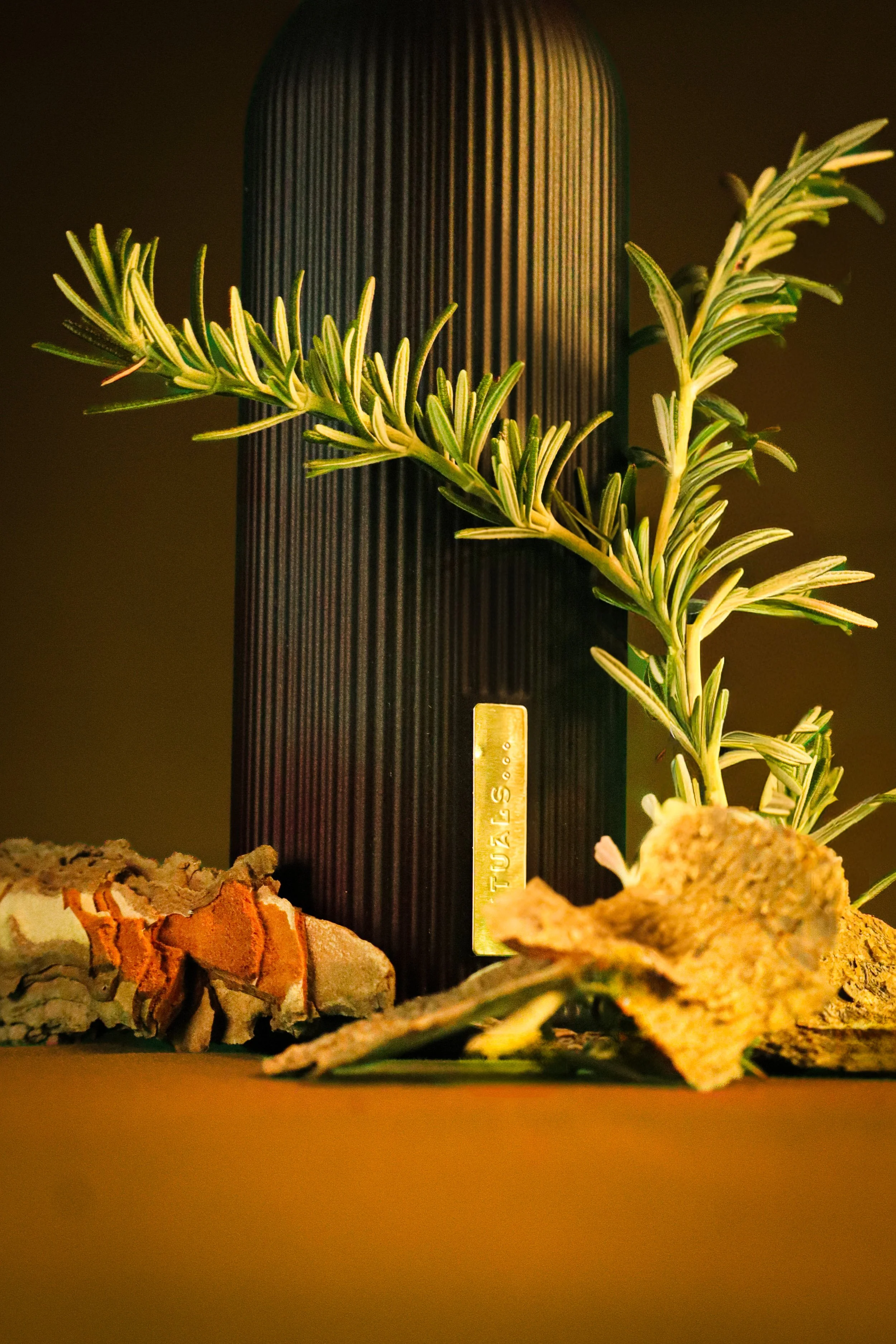 Une plante verte avec de longues feuilles, une base en roche, un objet noir verticale avec des lignes verticales, et une plaque en métal avec une étiquette dorée et gravure.