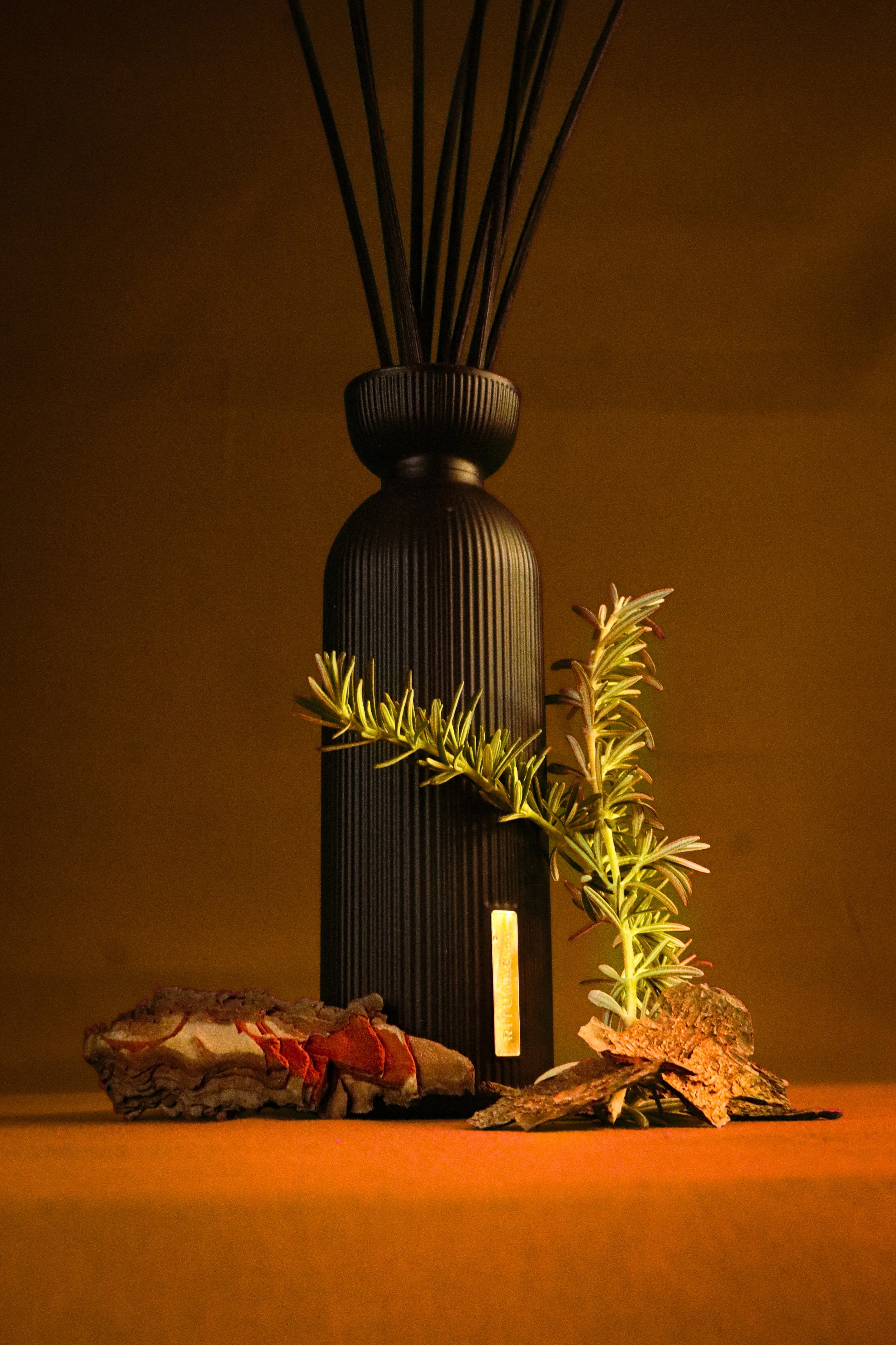 Une lampe noire en forme de vase, entourée de feuilles de plantes vertes, posée sur une surface en bois avec des roches décoratives au premier plan, éclairée d'une lumière chaude.