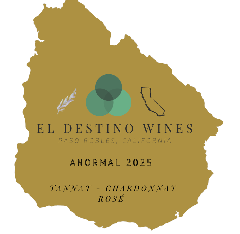 ANORMAL 2025 - Tannat | Chardonnay