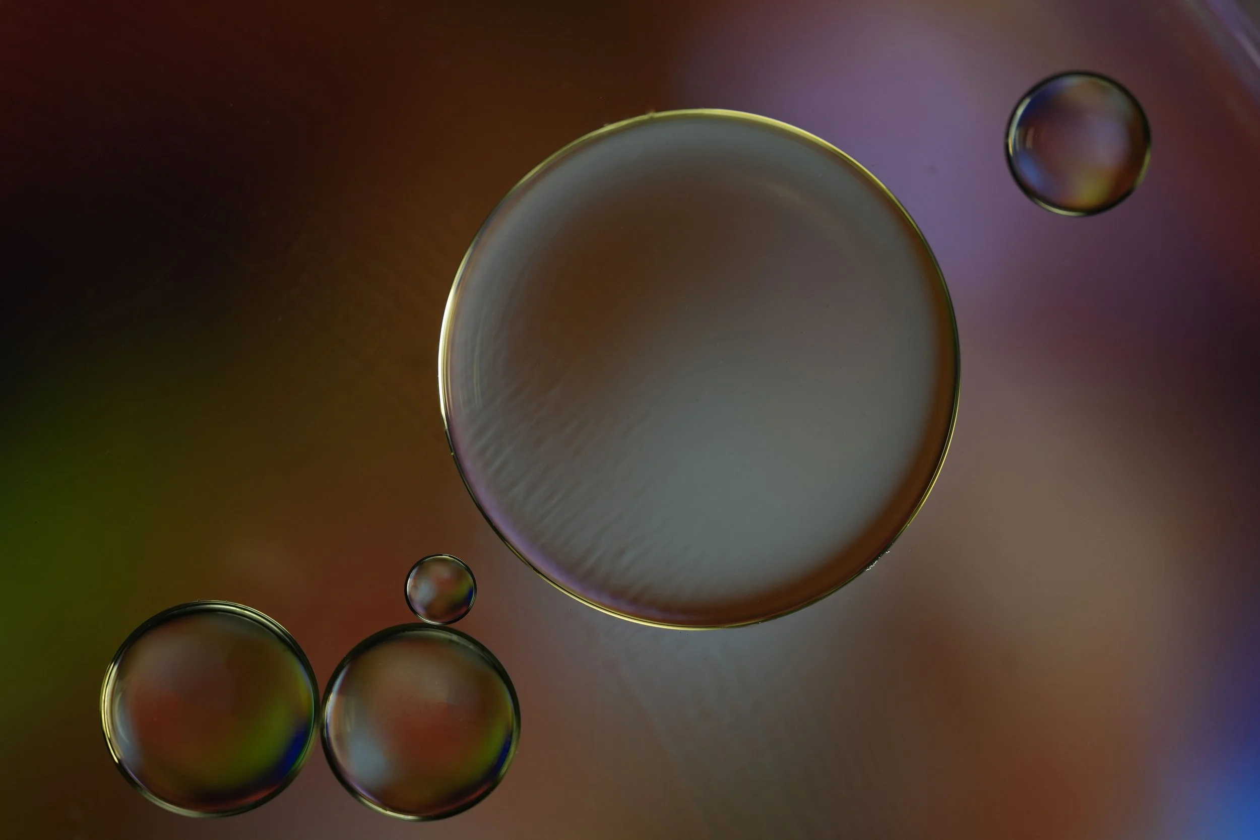 Oil bubble 4.JPG