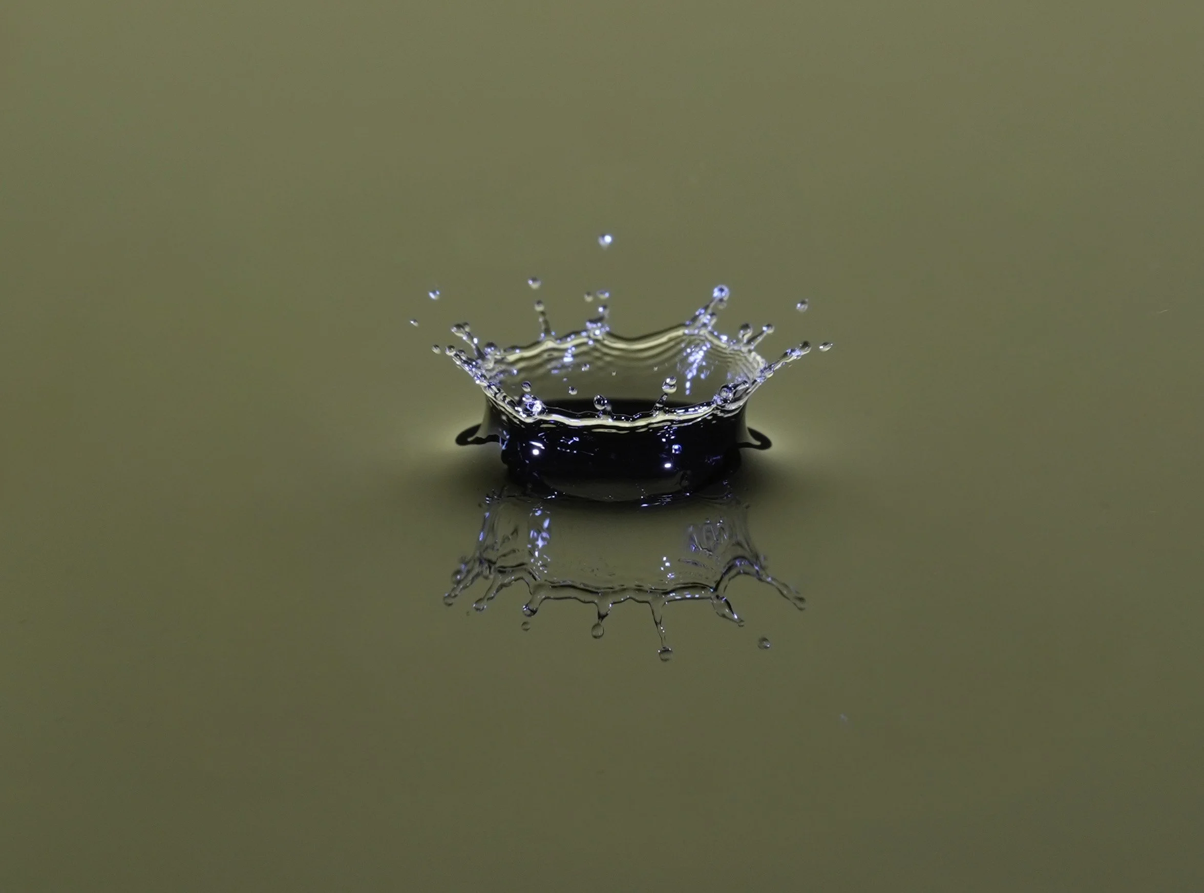 A7409324-1.jpg