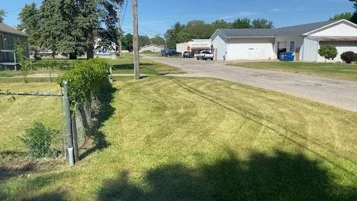 Suburban street with houses, trees, and a grassy yard, under a clear blue sky.