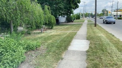 A sidewalk runs through a grassy area with trees and shrubs on both sides, and a utility pole on the right. In the background, there are houses and parked cars along a street.
