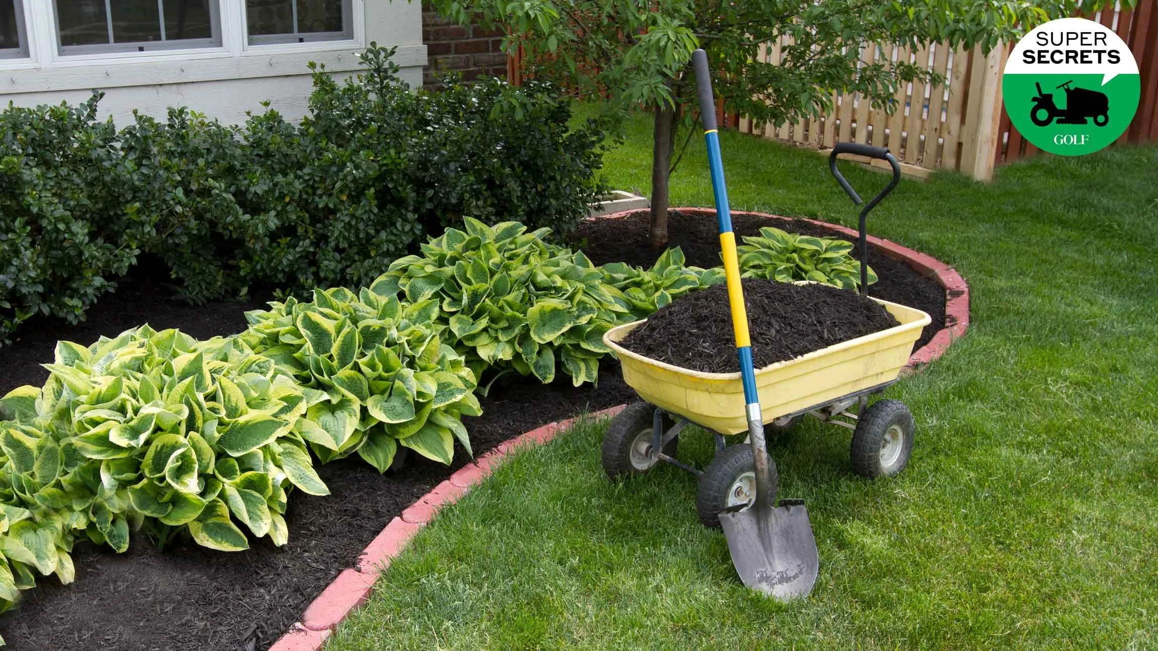 A garden with plants, a small tree, and a garden bed with dark soil. A yellow and Black wheelbarrow filled with soil has a hand shovel leaning against it. The background includes a house with white siding, a window, and a wooden fence.