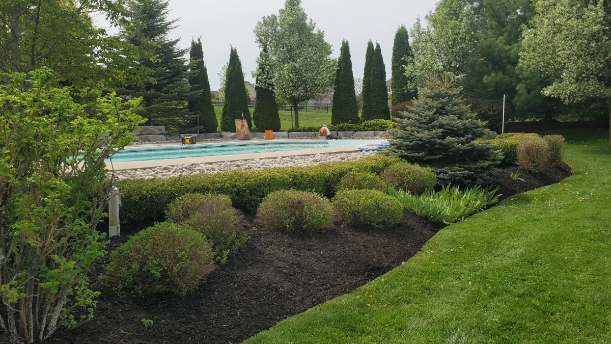 Beautiful backyard with a swimming pool, surrounded by well-maintained bushes, trees, and green lawn.