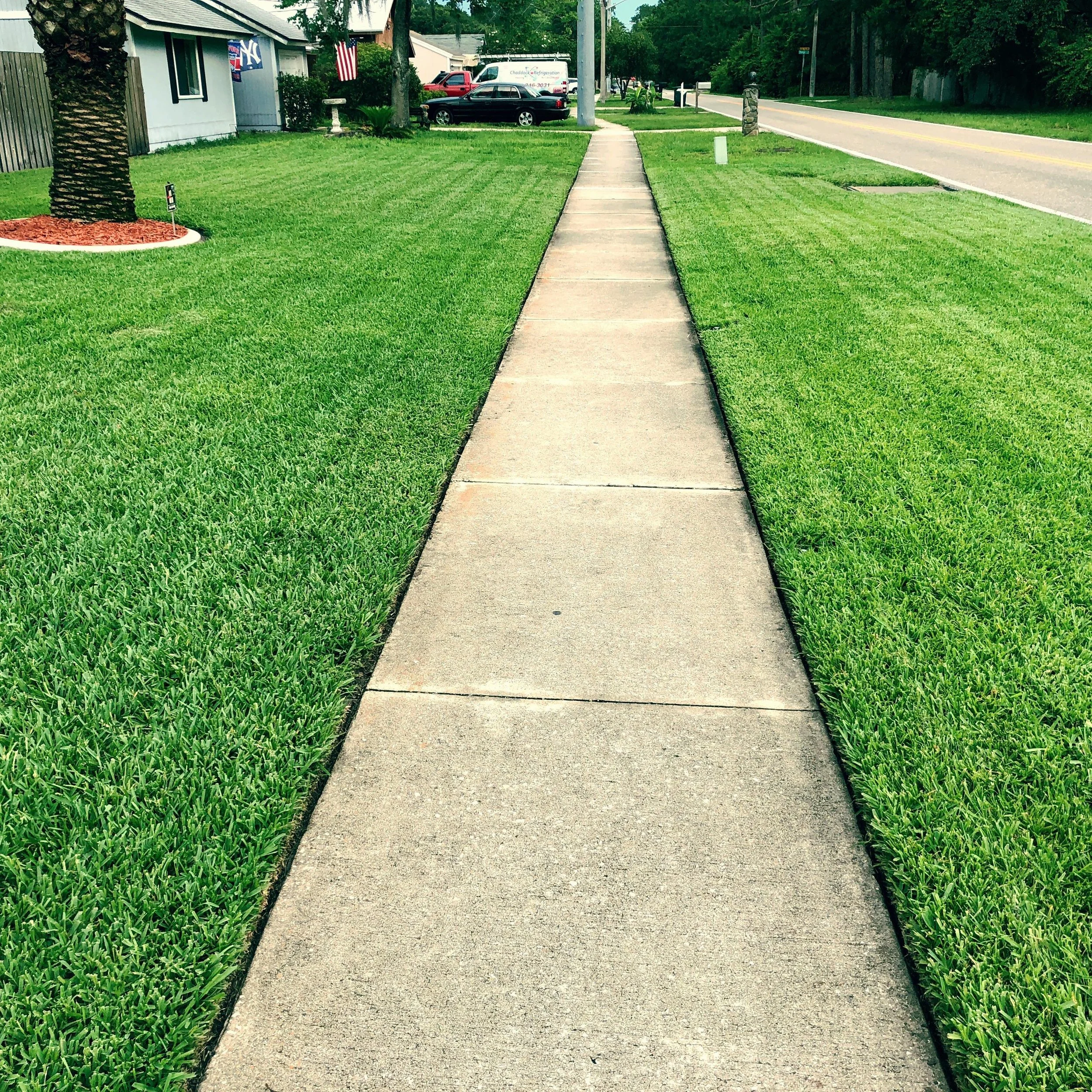 A sidewalk runs through a neatly mowed grassy yard with a large palm tree on the left, a house with American and New York flags hanging outside, and parked cars and a van visible in the background along a street lined with trees.