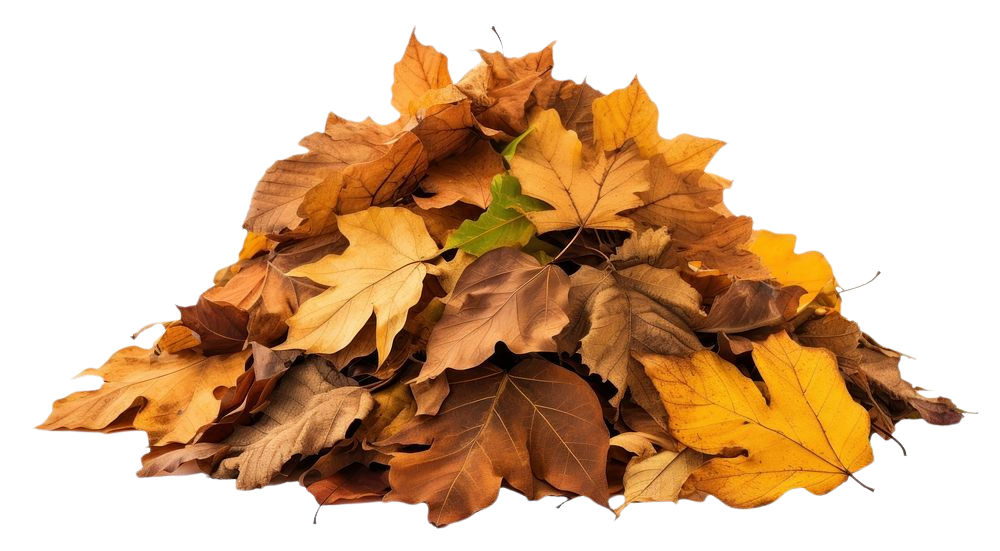 Pile of autumn fallen leaves in various shades of brown, yellow, and green.