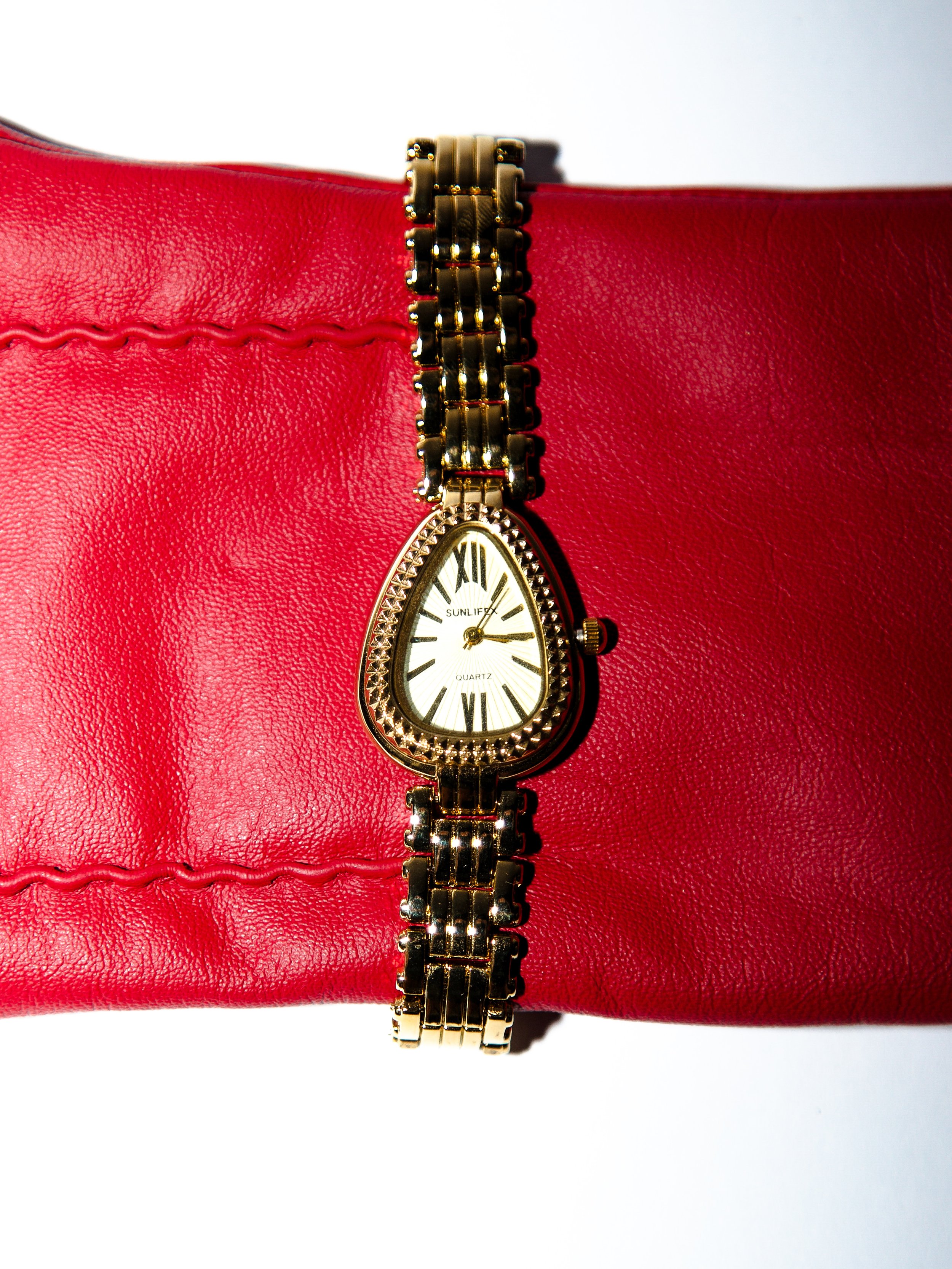The Panthère Watch