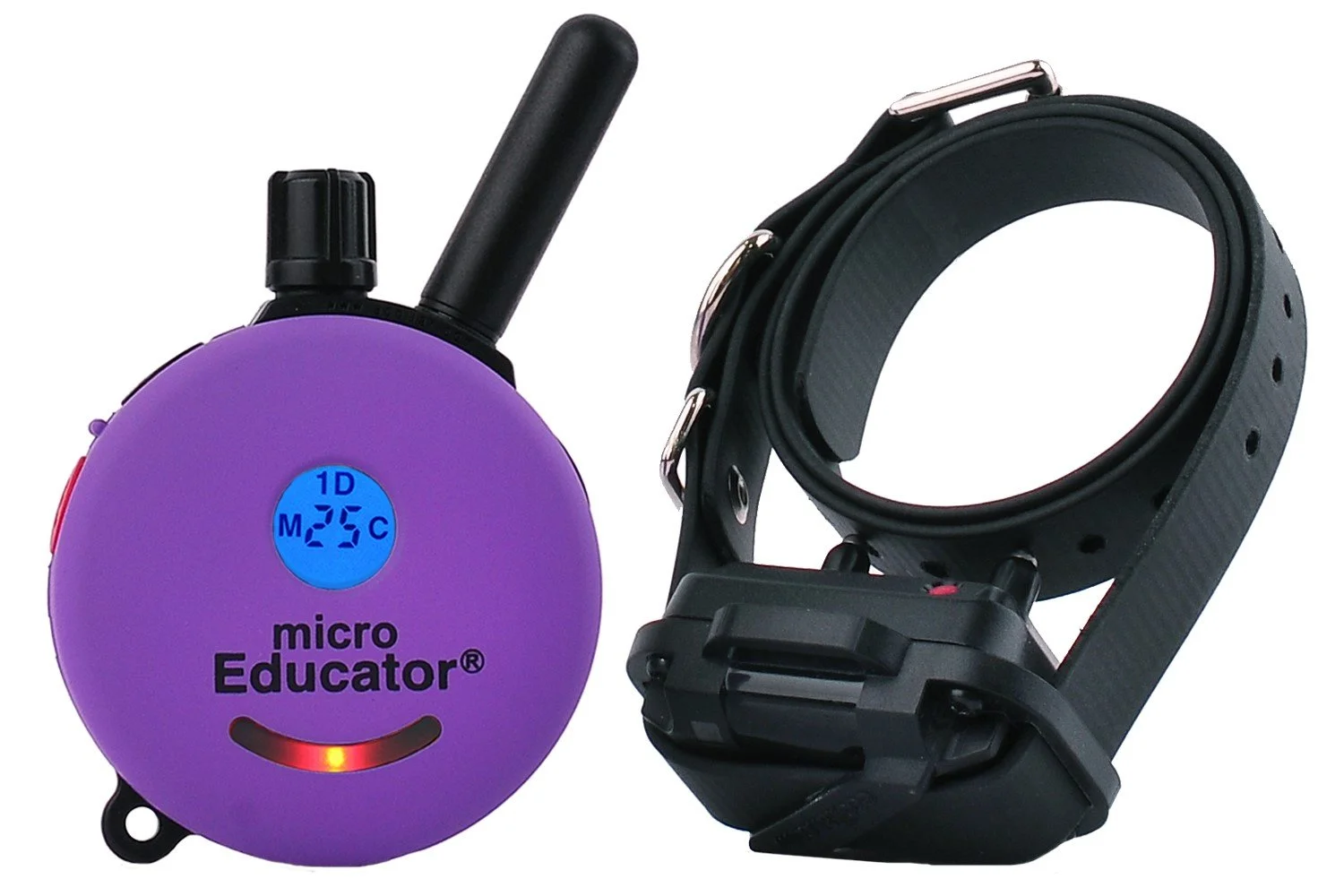 A purple microchip with a digital display showing 25°C, a black antenna, and a red indicator light, next to a black adjustable dog collar with metal buckle and holes.