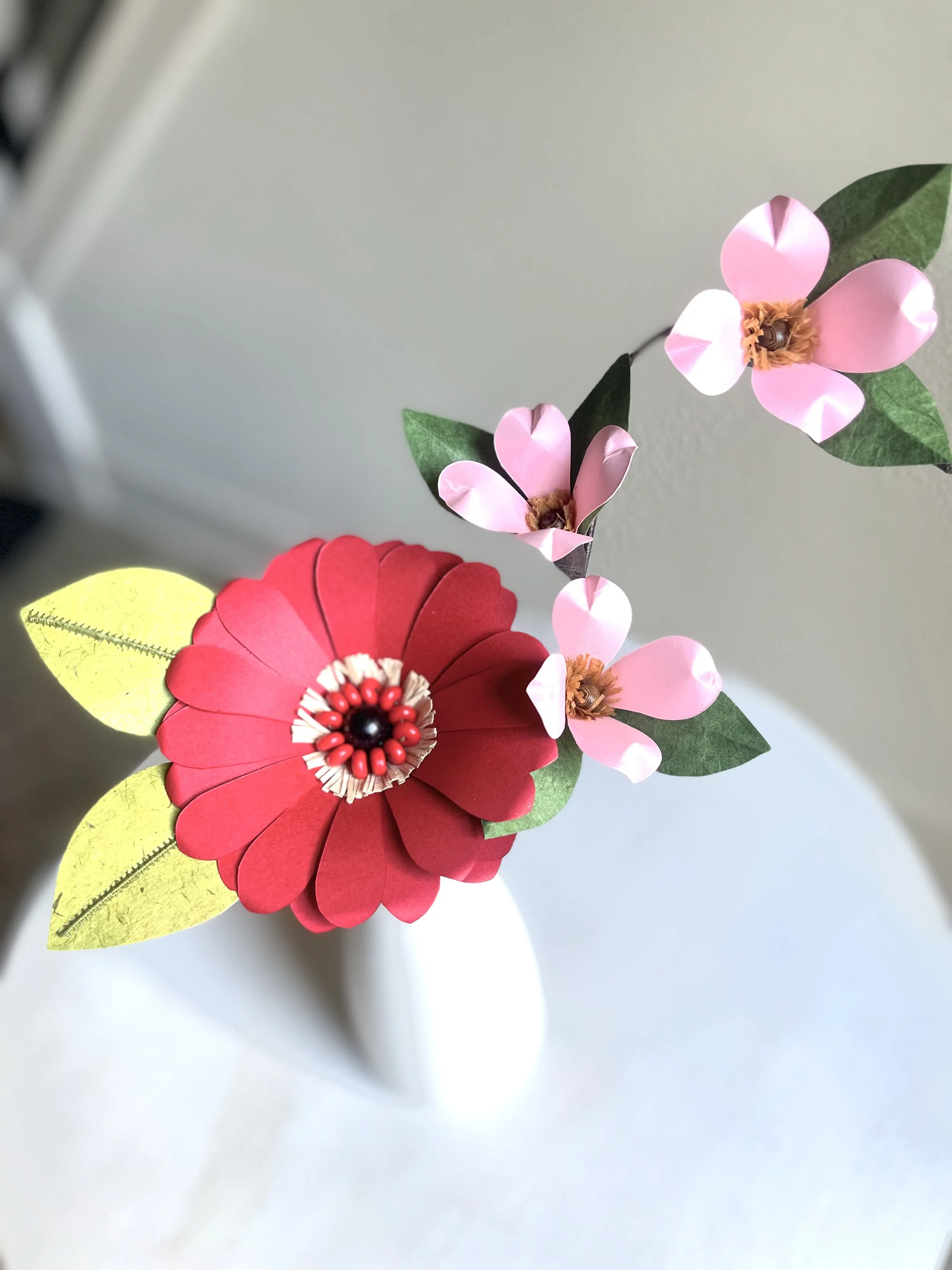Daisy with Dogwood Branch