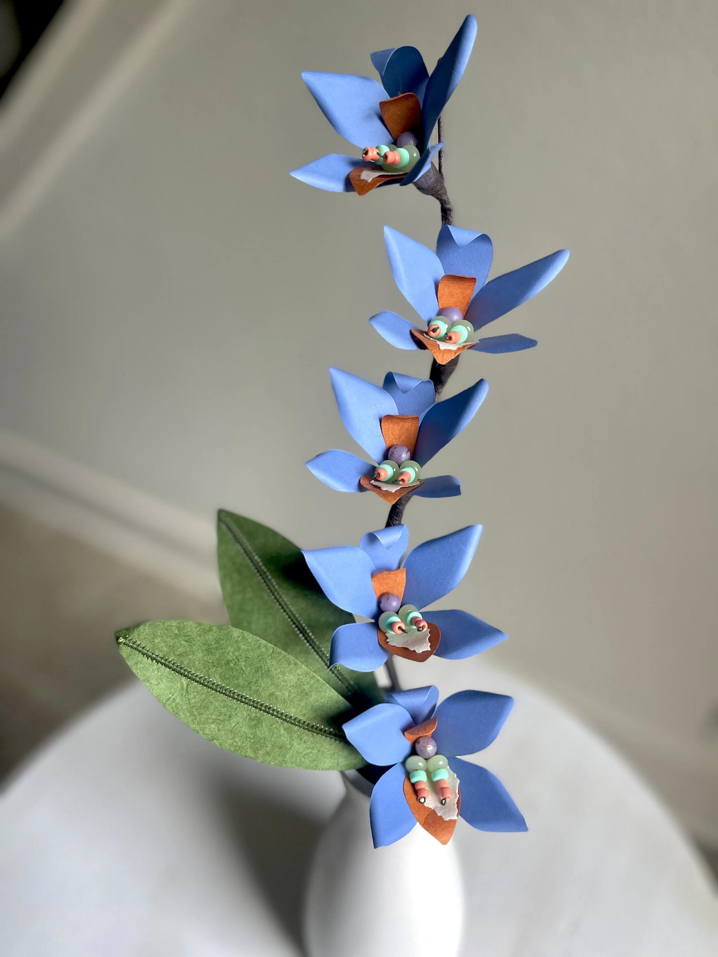 Periwinkle_Orchid_Stem_of_5.jpg