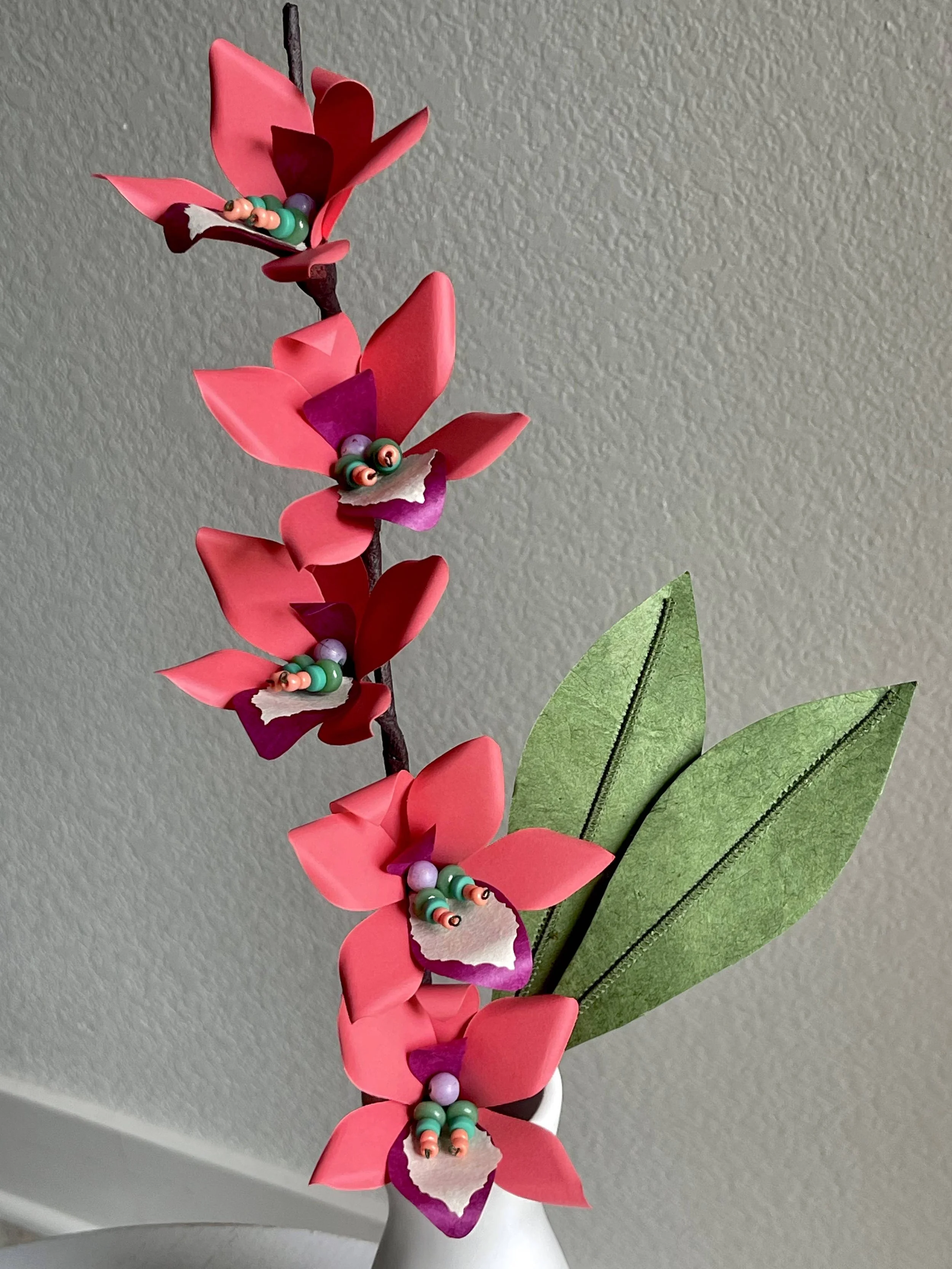 Orchid Stem of 5