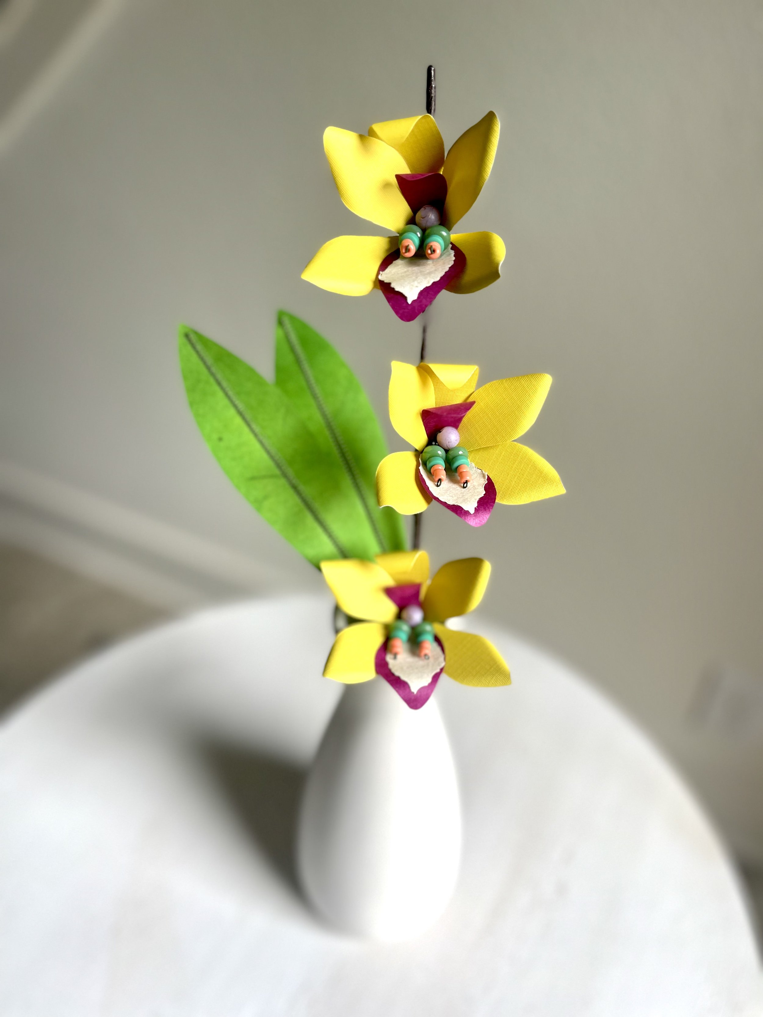 Canary_Orchid_Stem_of_3.jpg