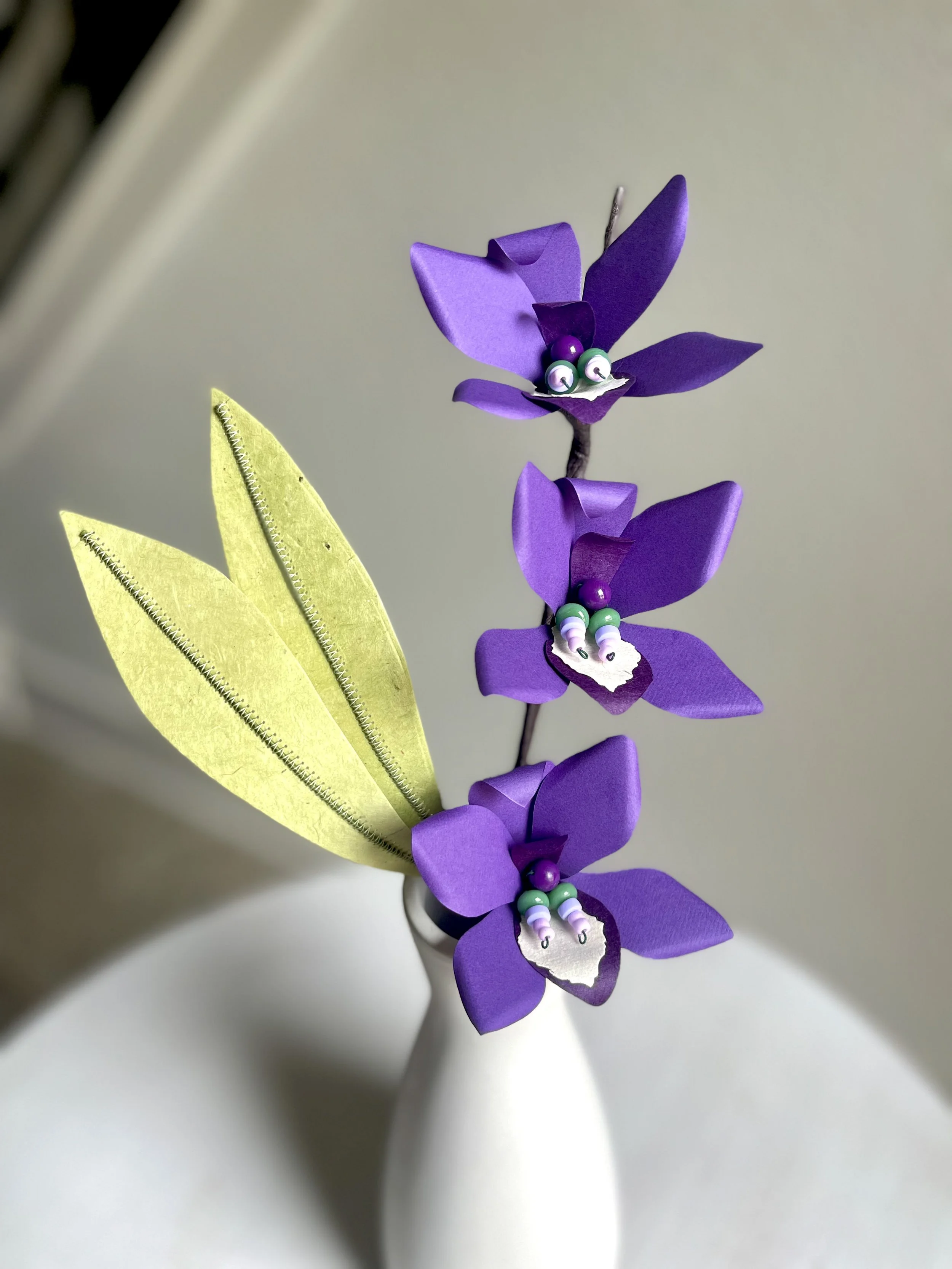 Orchid Stem of 3