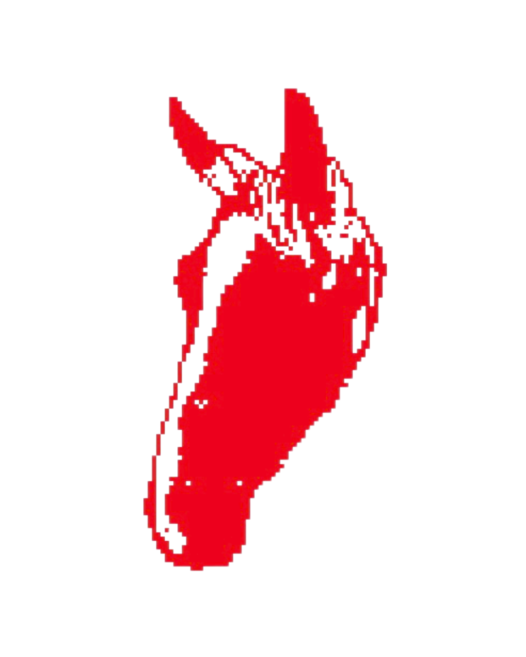 lacehorse