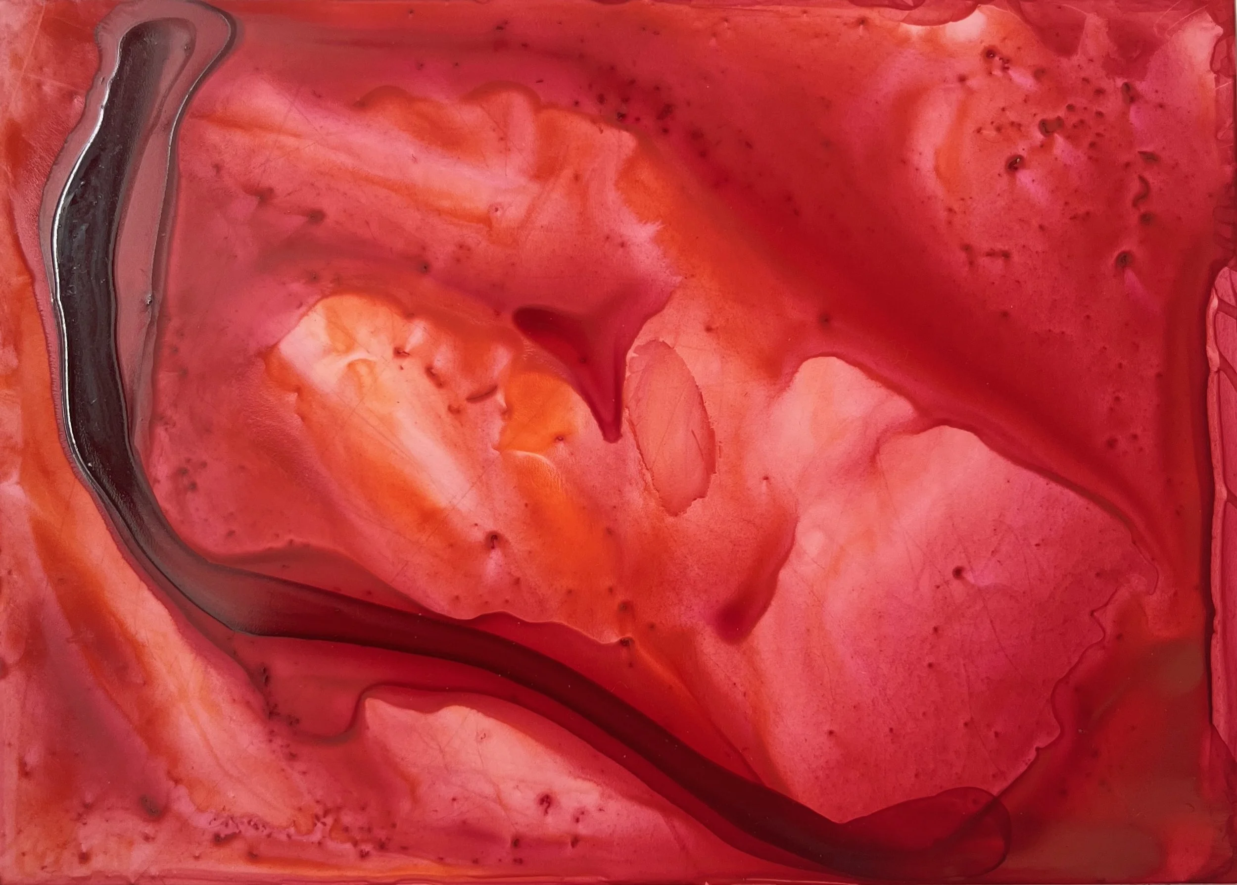 Pinks and oranges play abstract acrylic ink painting Seattle artist Melissa Traumerin Träumerin