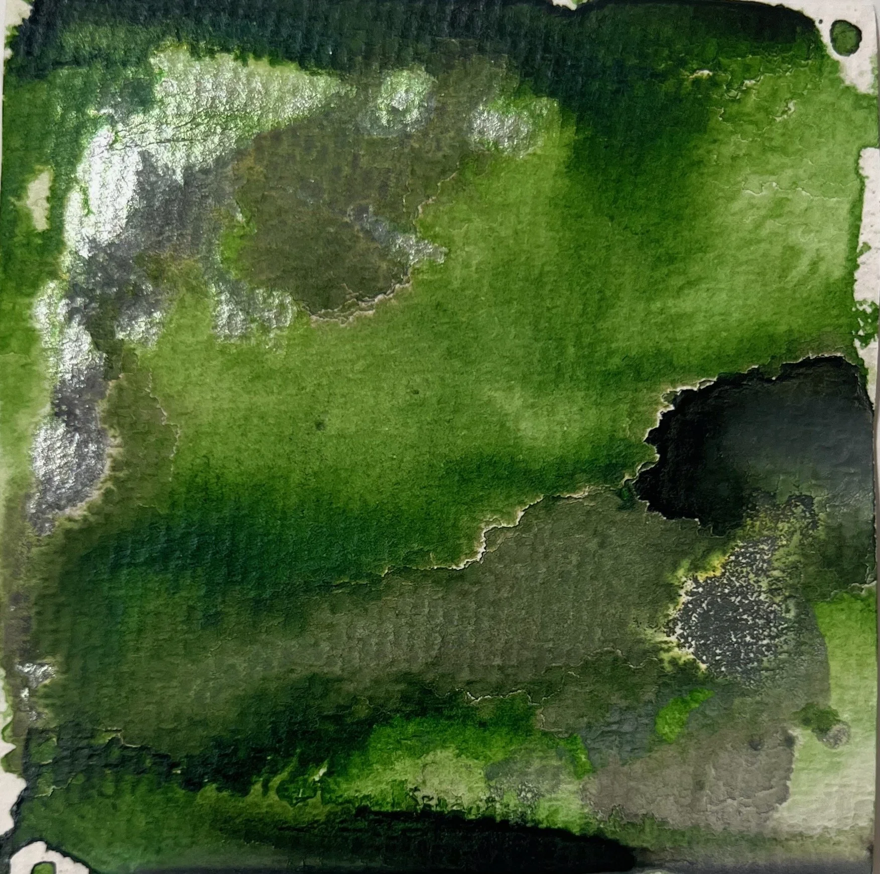 New green acrylic ink, silver, abstract acrylic ink painting Seattle artist Melissa Traumerin Träumerin