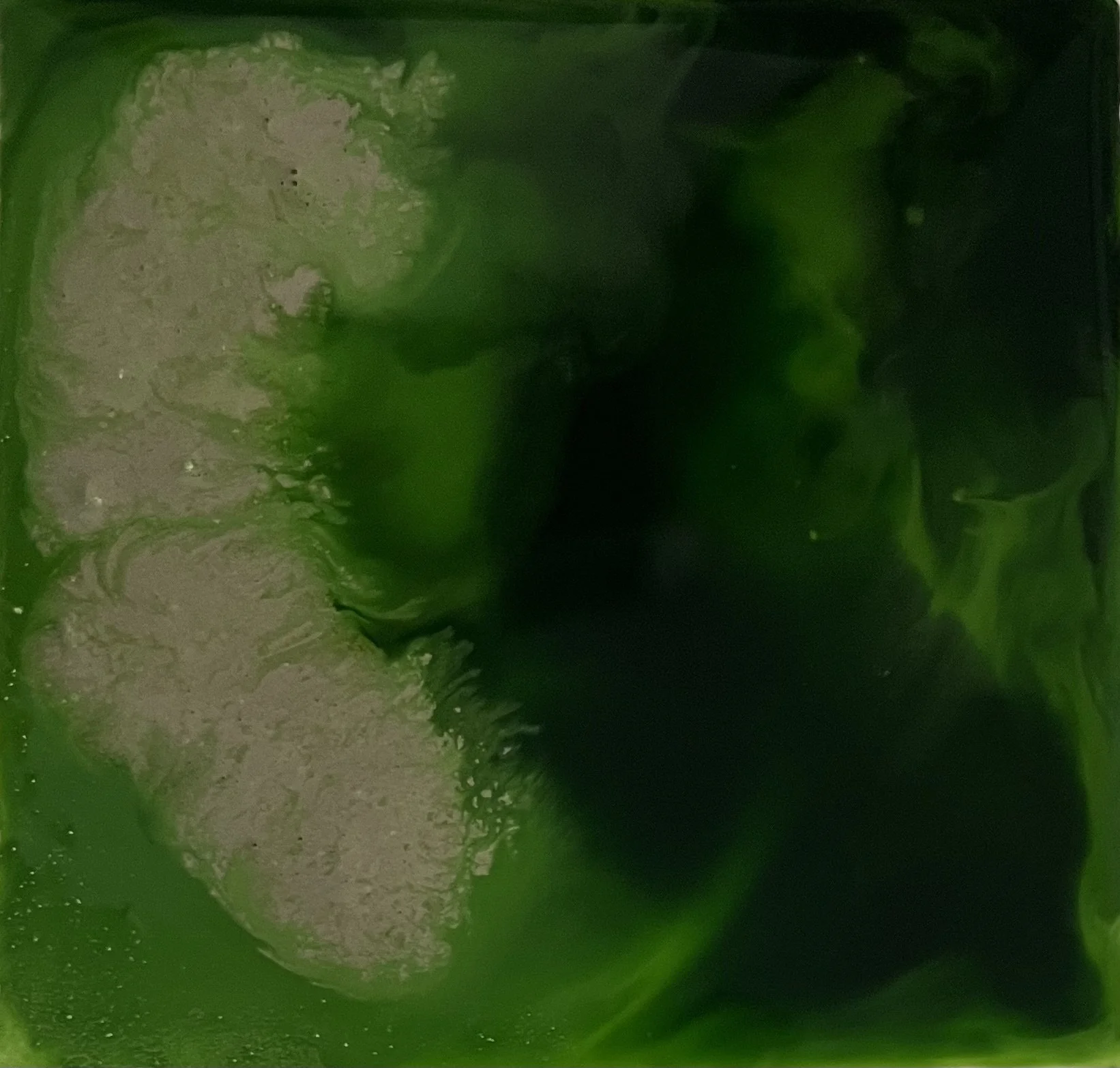 M. Träumerin Melissa Träumerin Träumerin Seattle based artist acrylic ink and water play painter dreamer creative writer green monochrome with silver abstract art