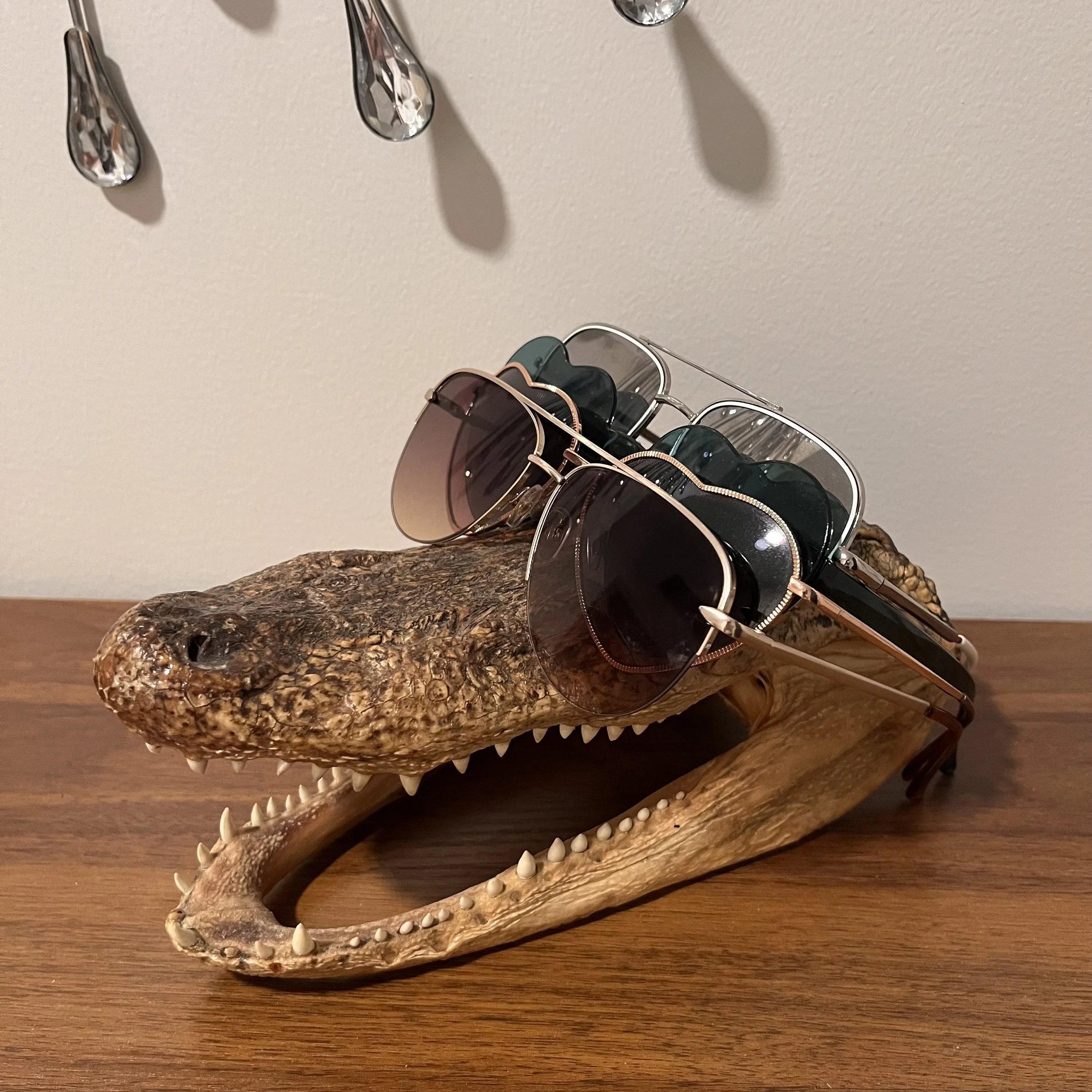 Entryway Sunglass holder Alligator  Melissa Träumerin Traumerin Seattle artist ceramic clay creation
