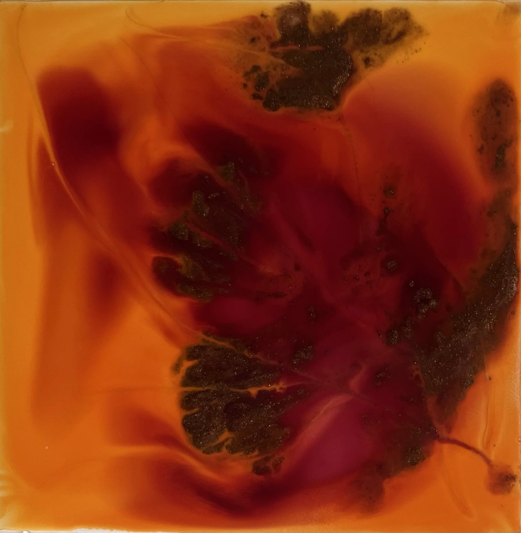 Embryo like, bold colors, yet soft, lovely, M. Traumerin, M. Träumerin, Seattle-based artist, Melissa, acrylic inks, water play, yupo paper