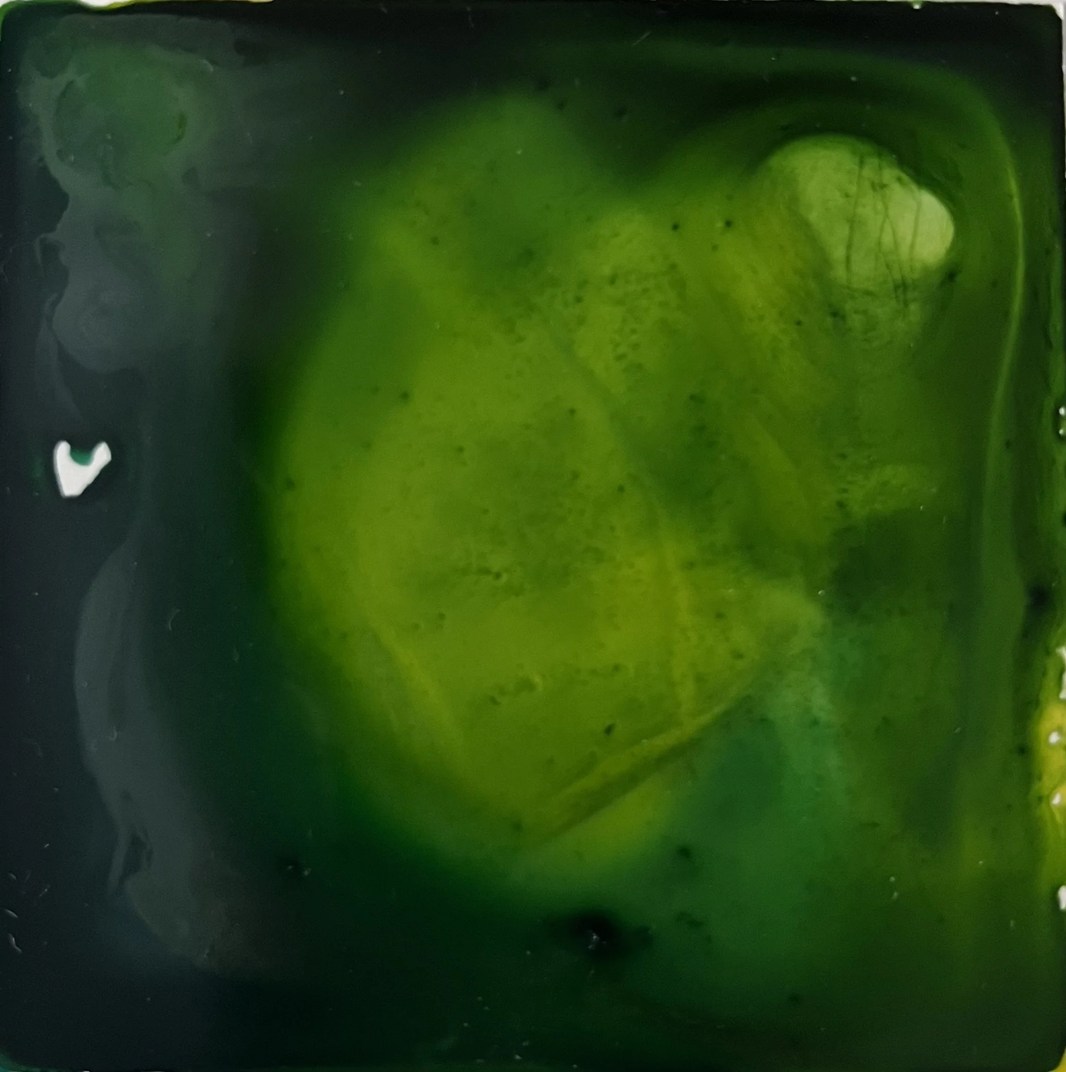 Green heart chakra bonus heart emerged in drying acrylic ink Melissa Träumerin Traumerin Seattle based artist